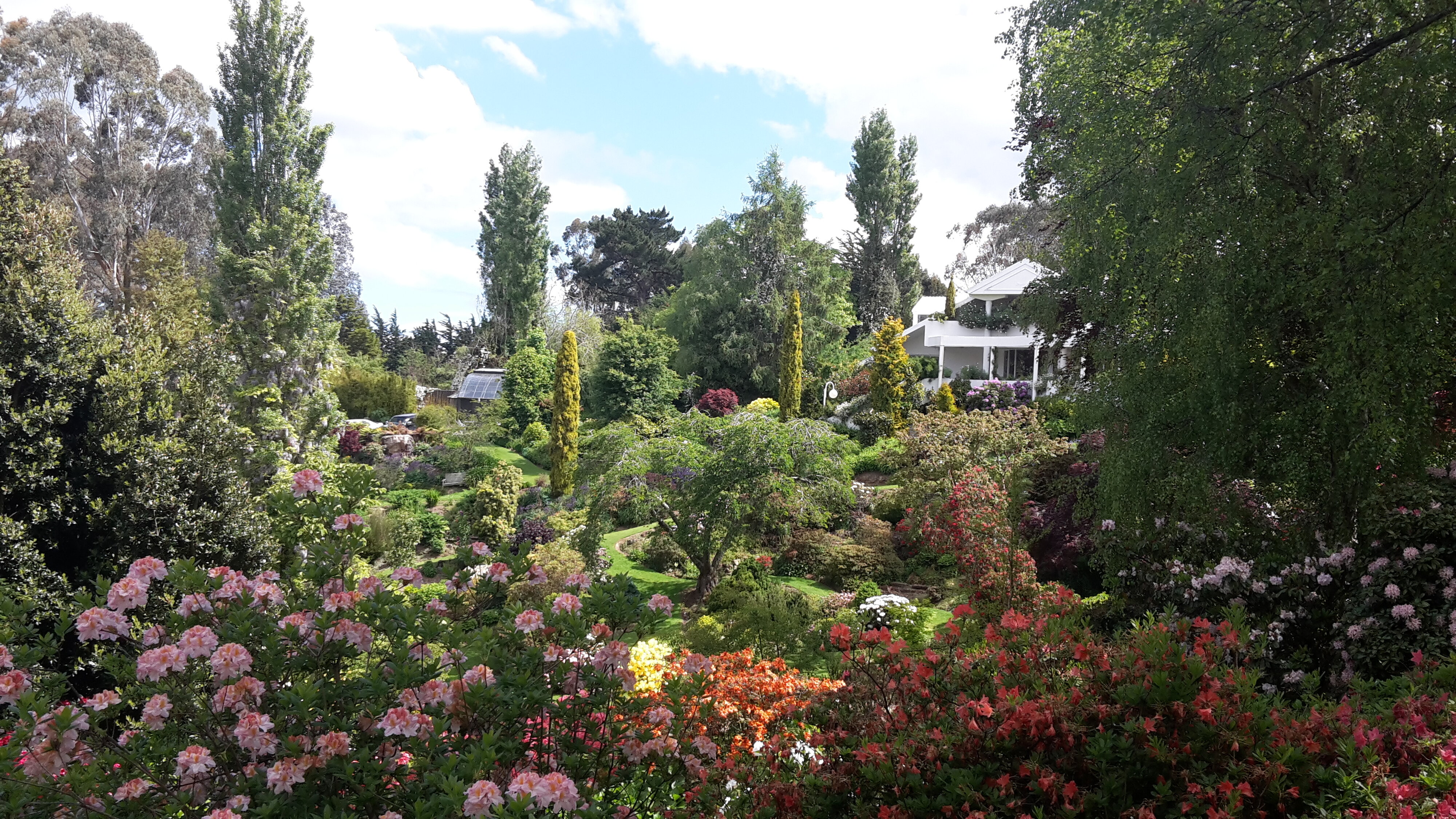 Maple Glen Gardens 05