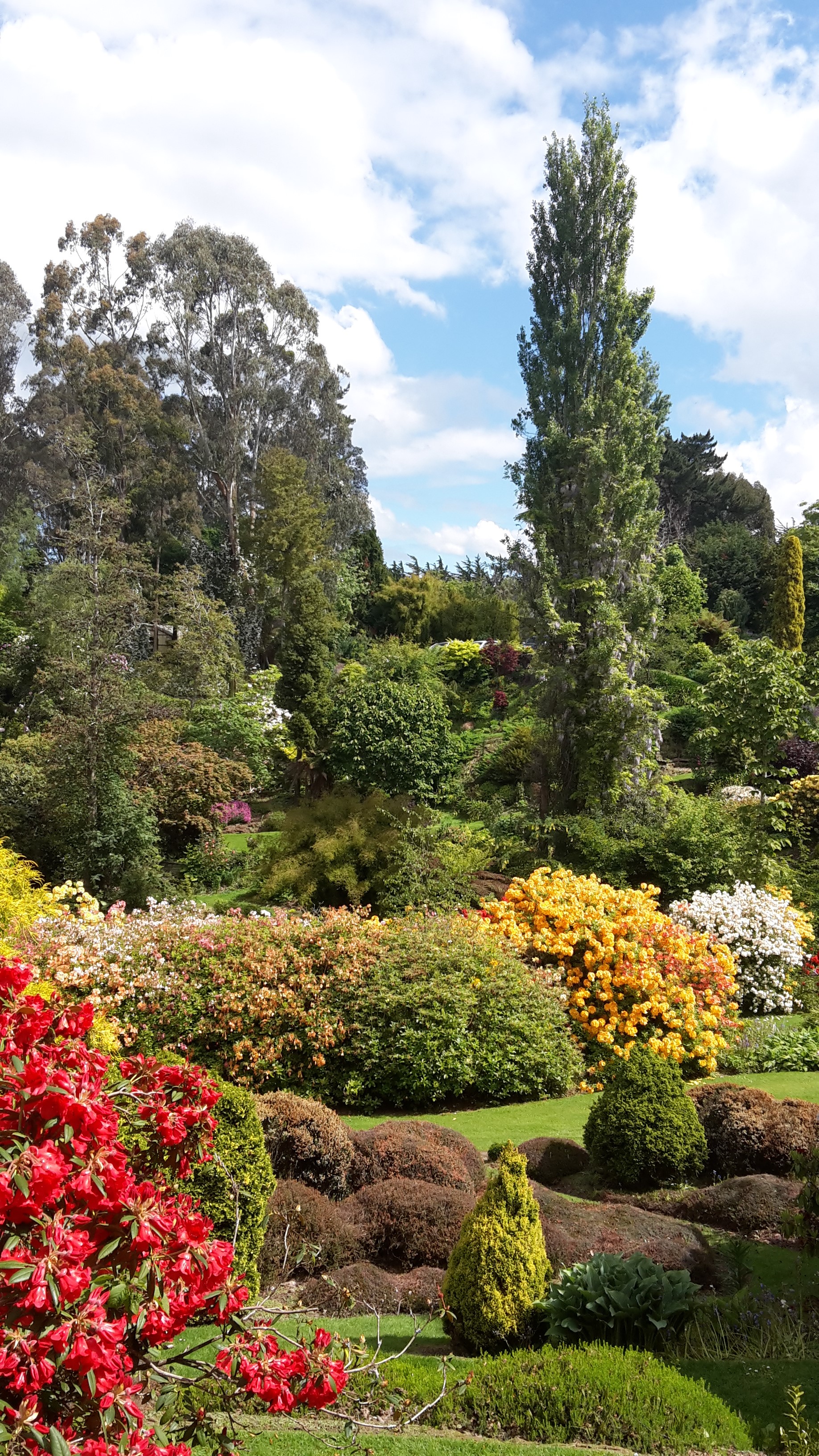 Maple Glen Gardens 07