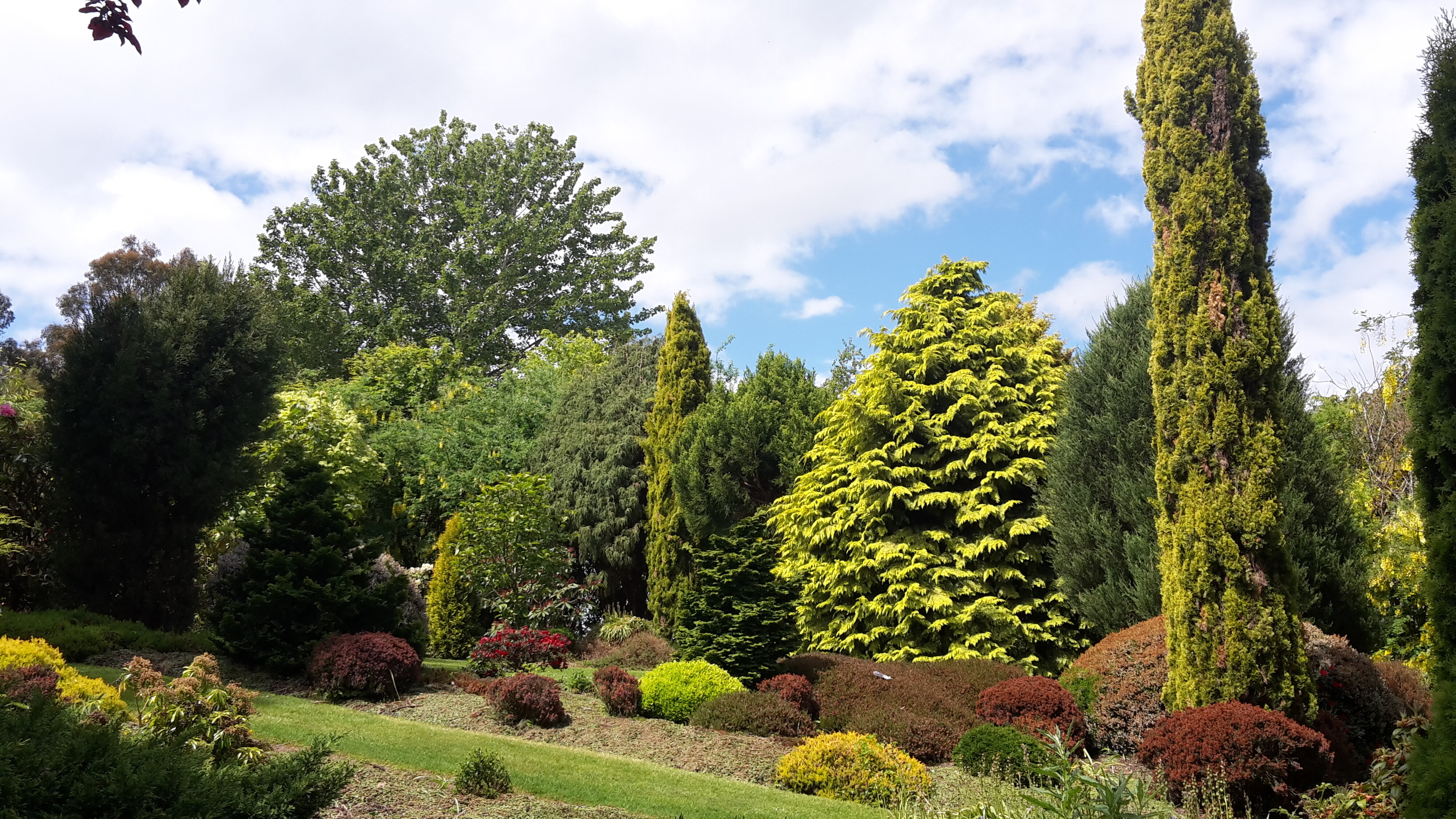 Maple Glen Gardens 08