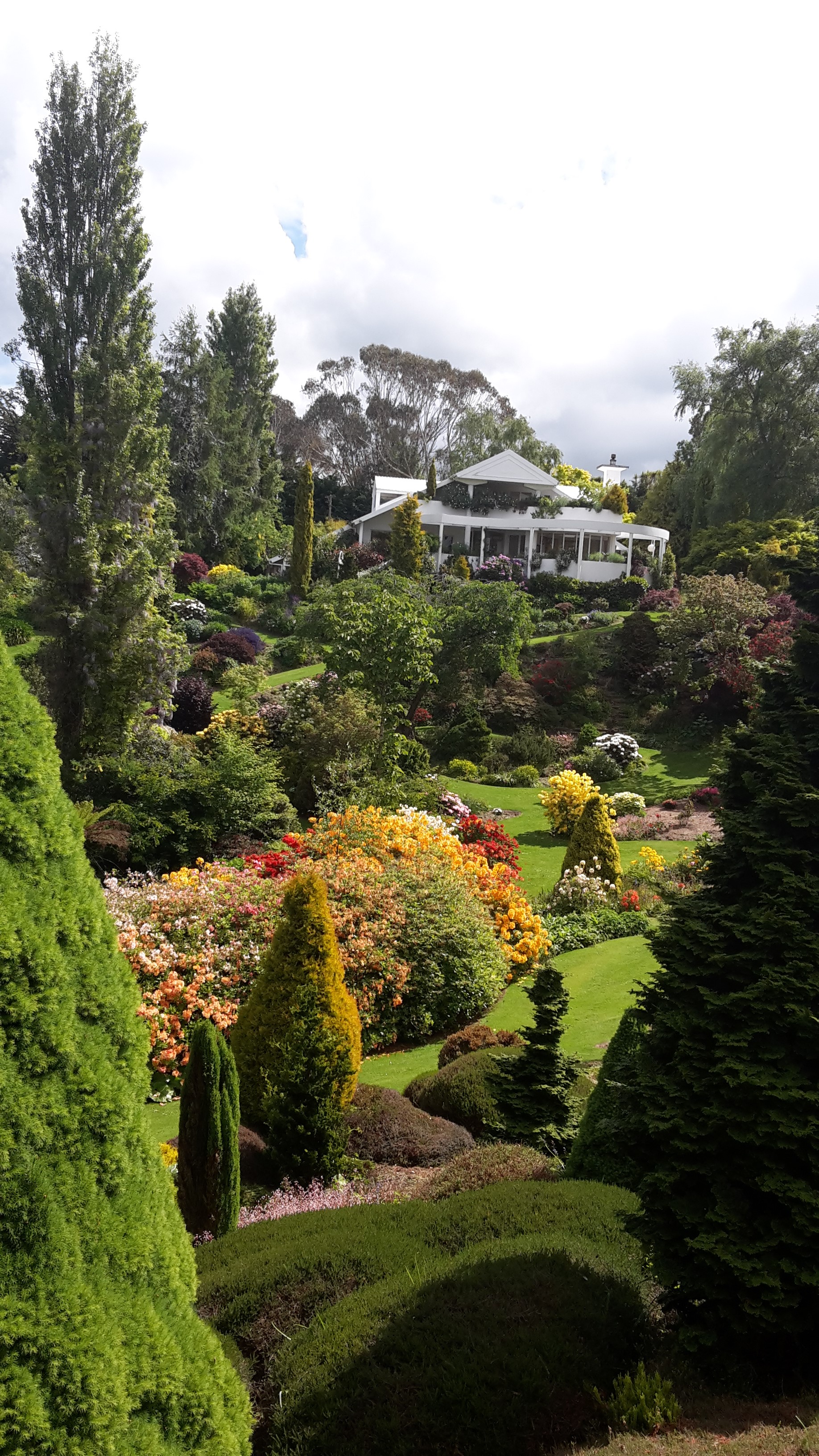 Maple Glen Gardens 11