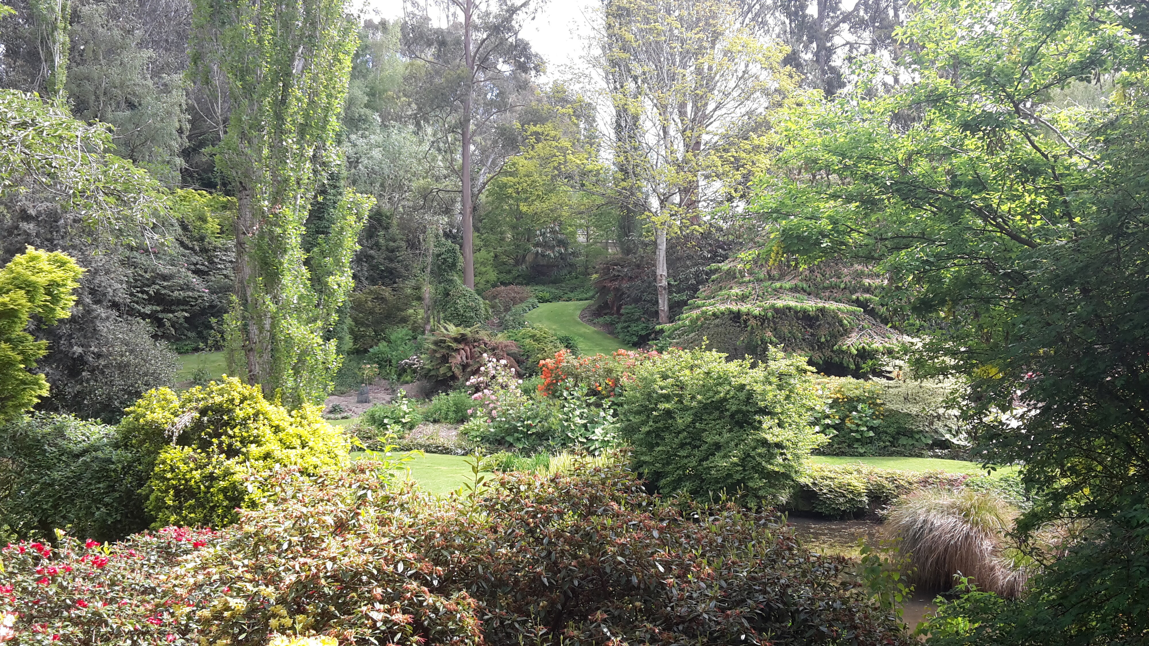 Maple Glen Gardens 12