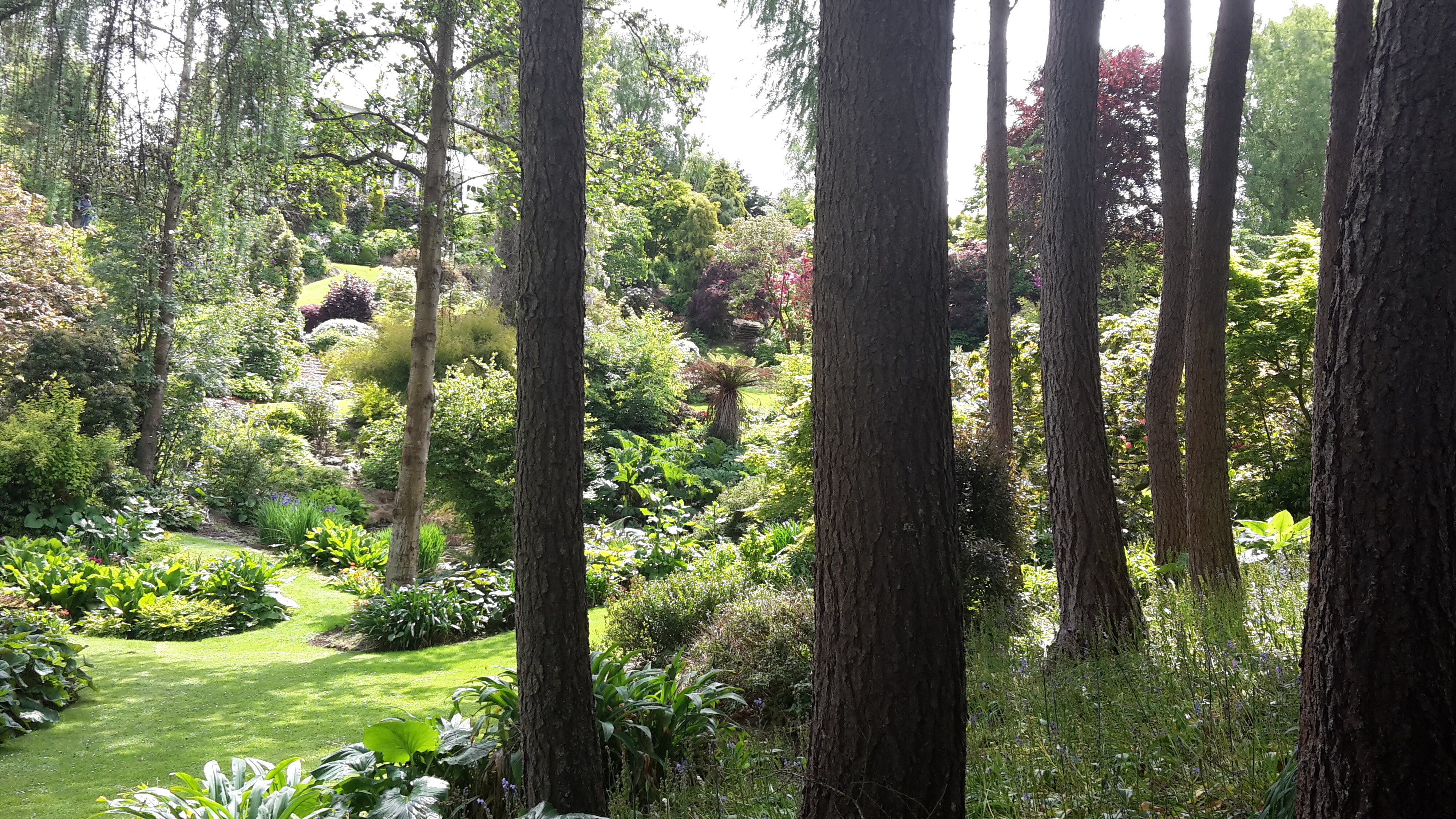 Maple Glen Gardens 13