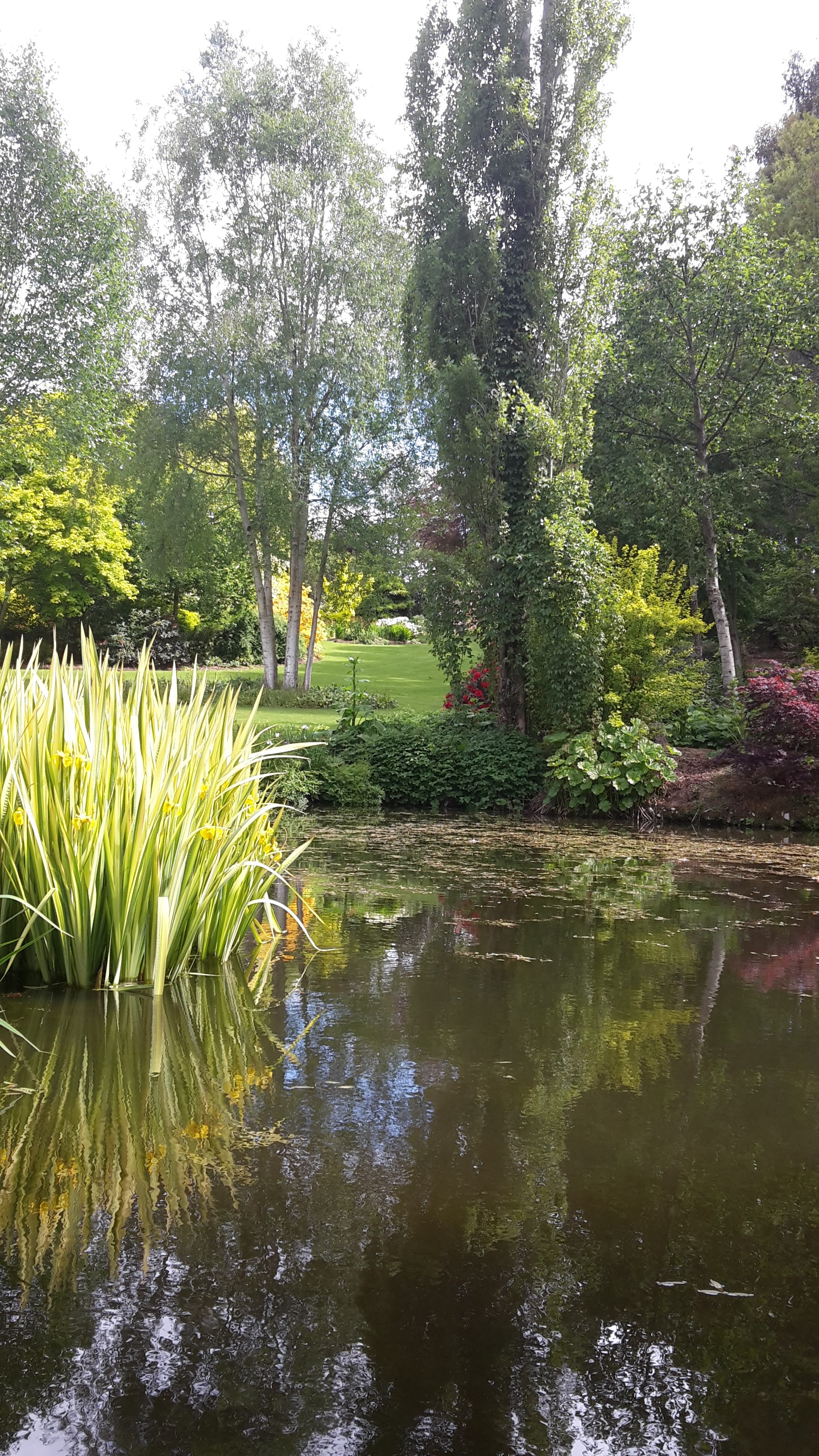 Maple Glen Gardens 15