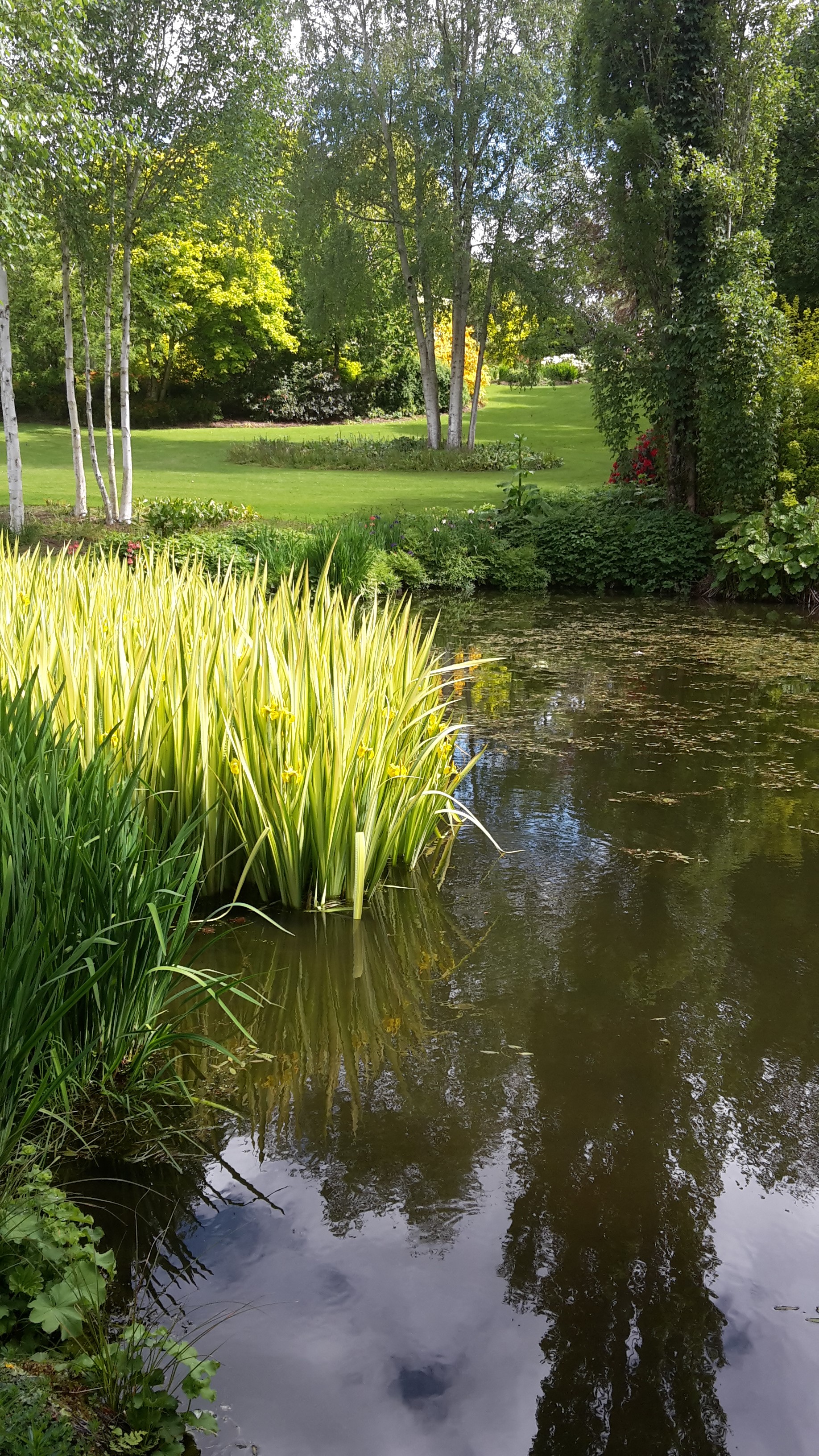 Maple Glen Gardens 16