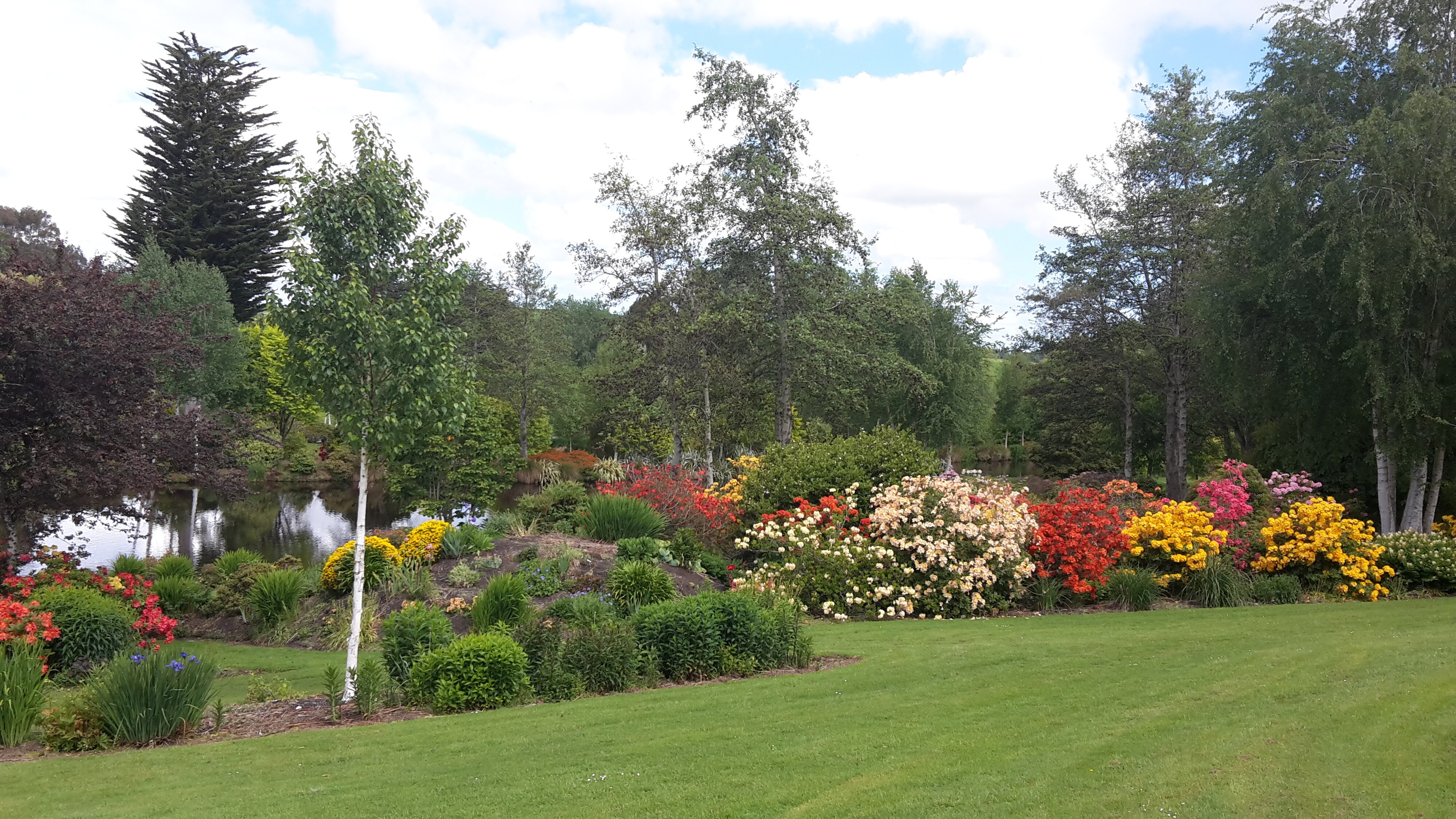 Maple Glen Gardens 20