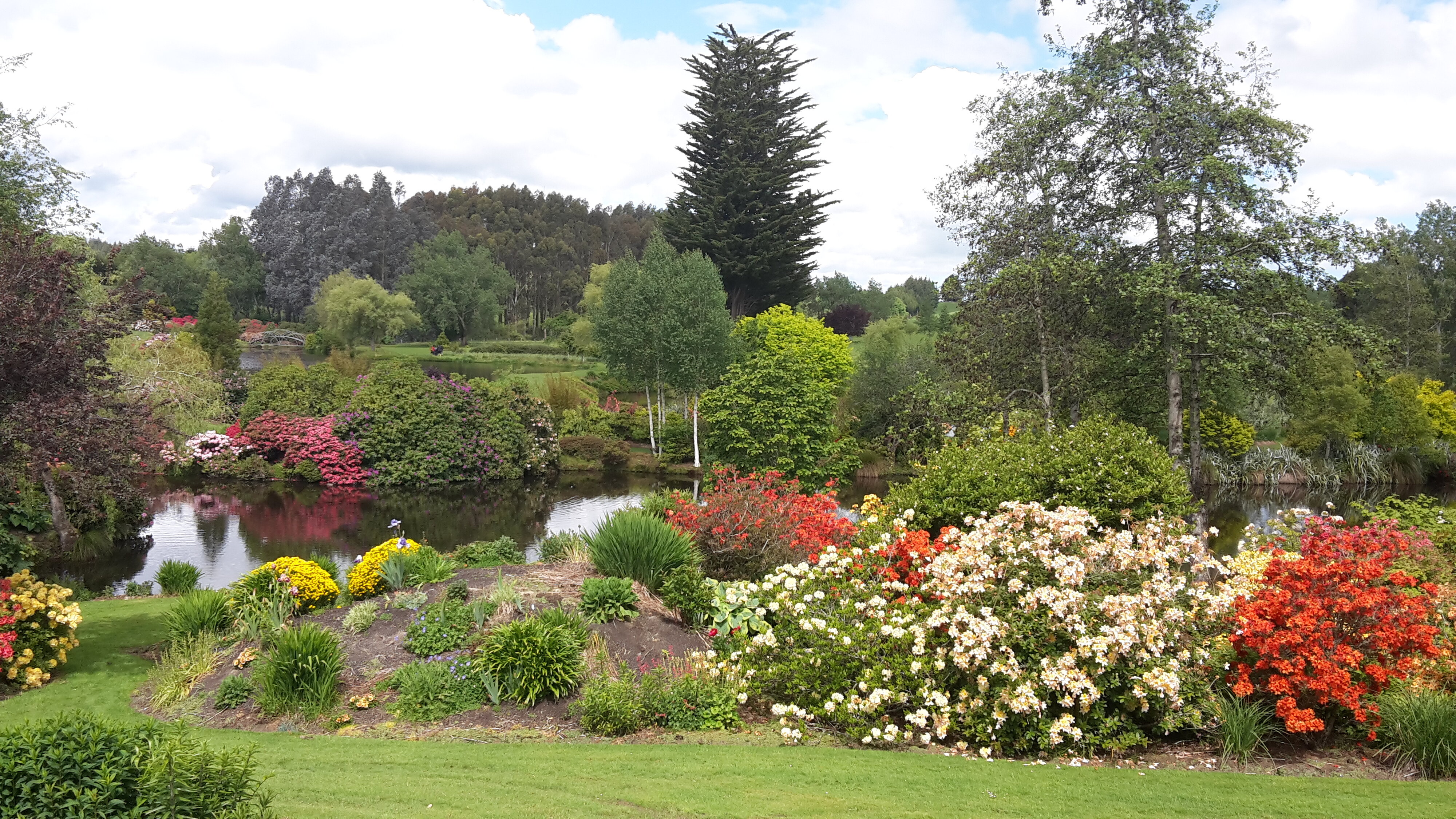 Maple Glen Gardens 21