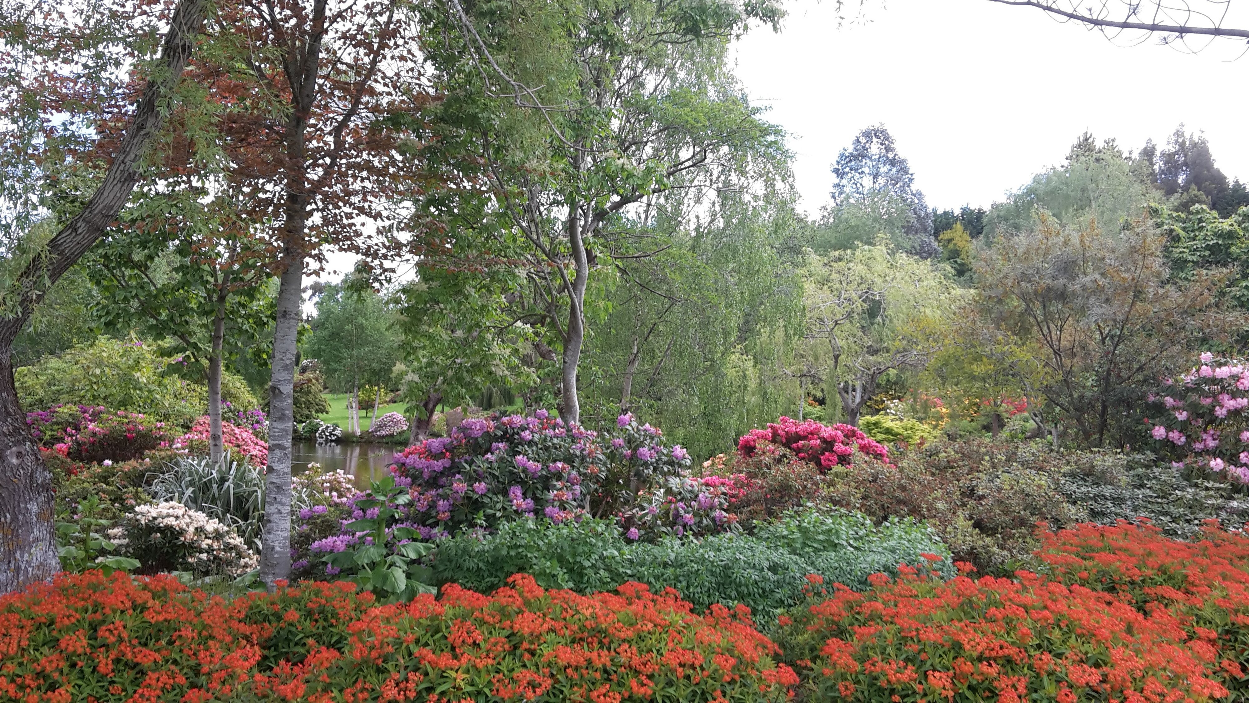 Maple Glen Gardens 23