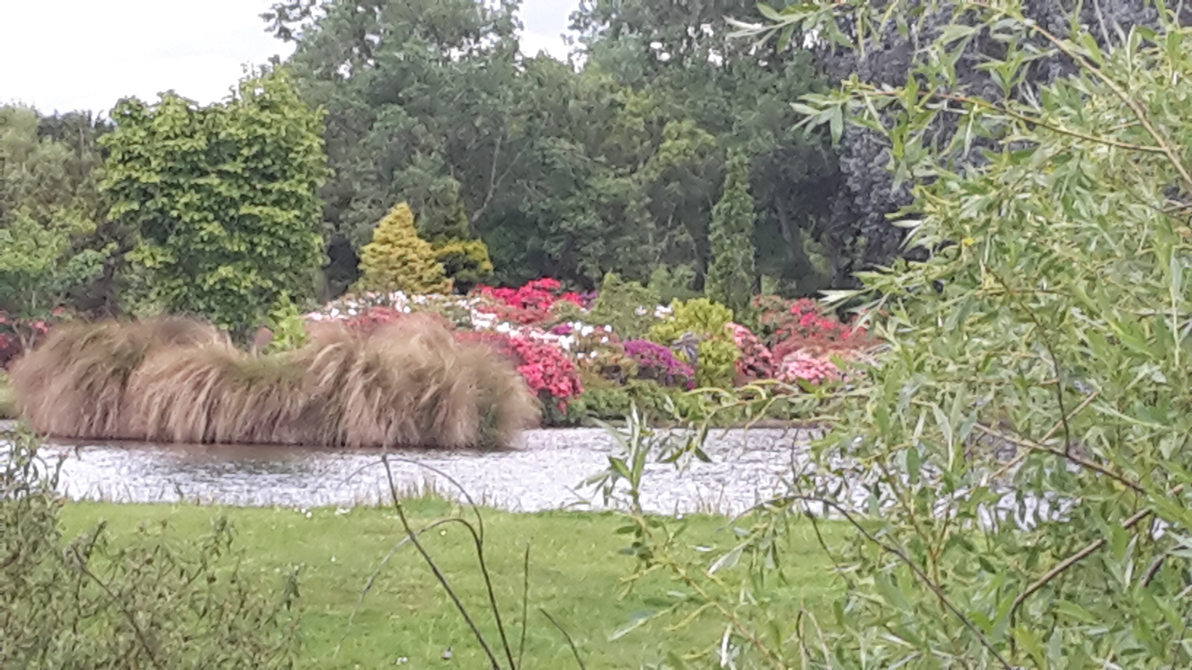 Maple Glen Gardens 24