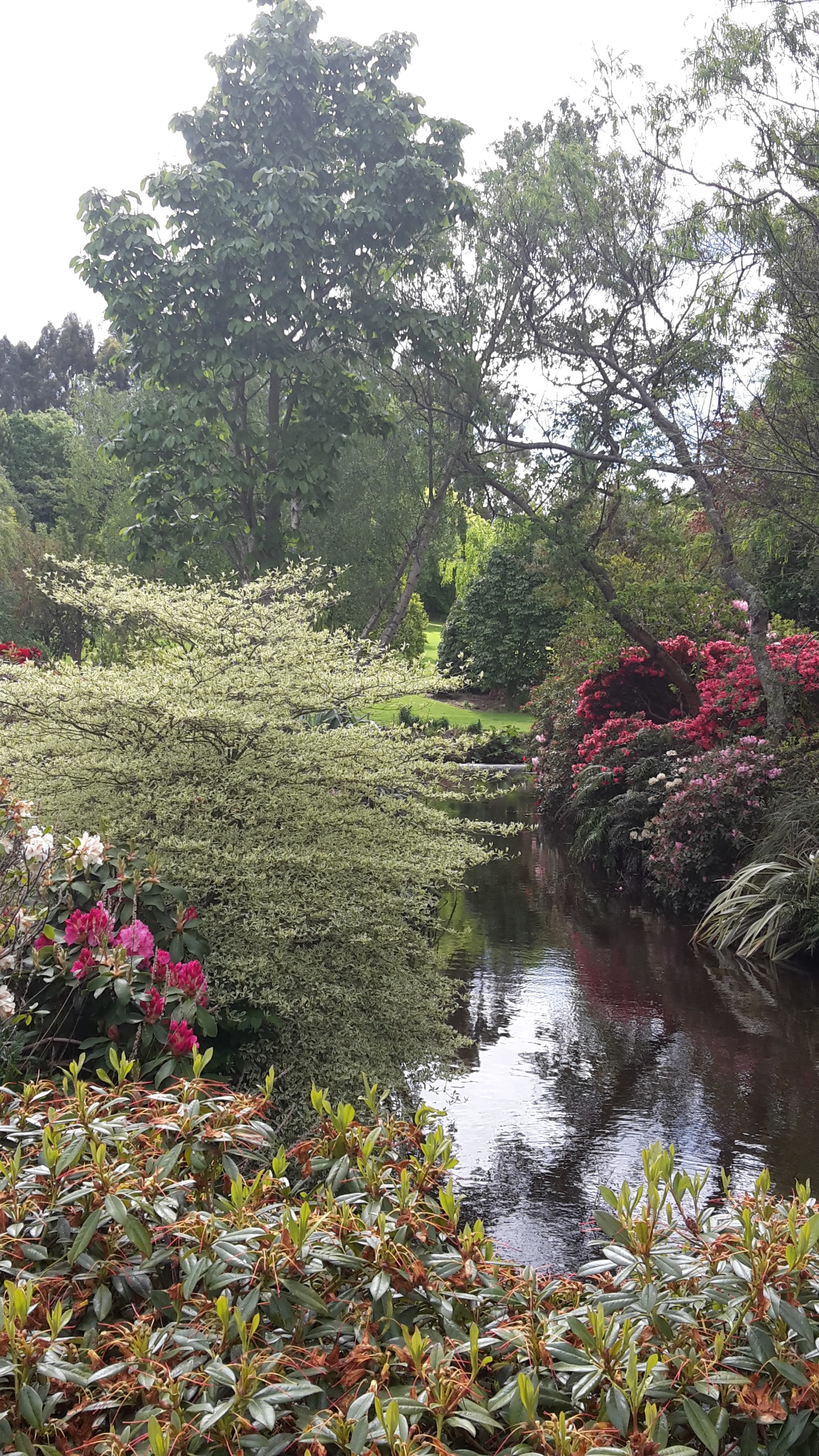 Maple Glen Gardens 26