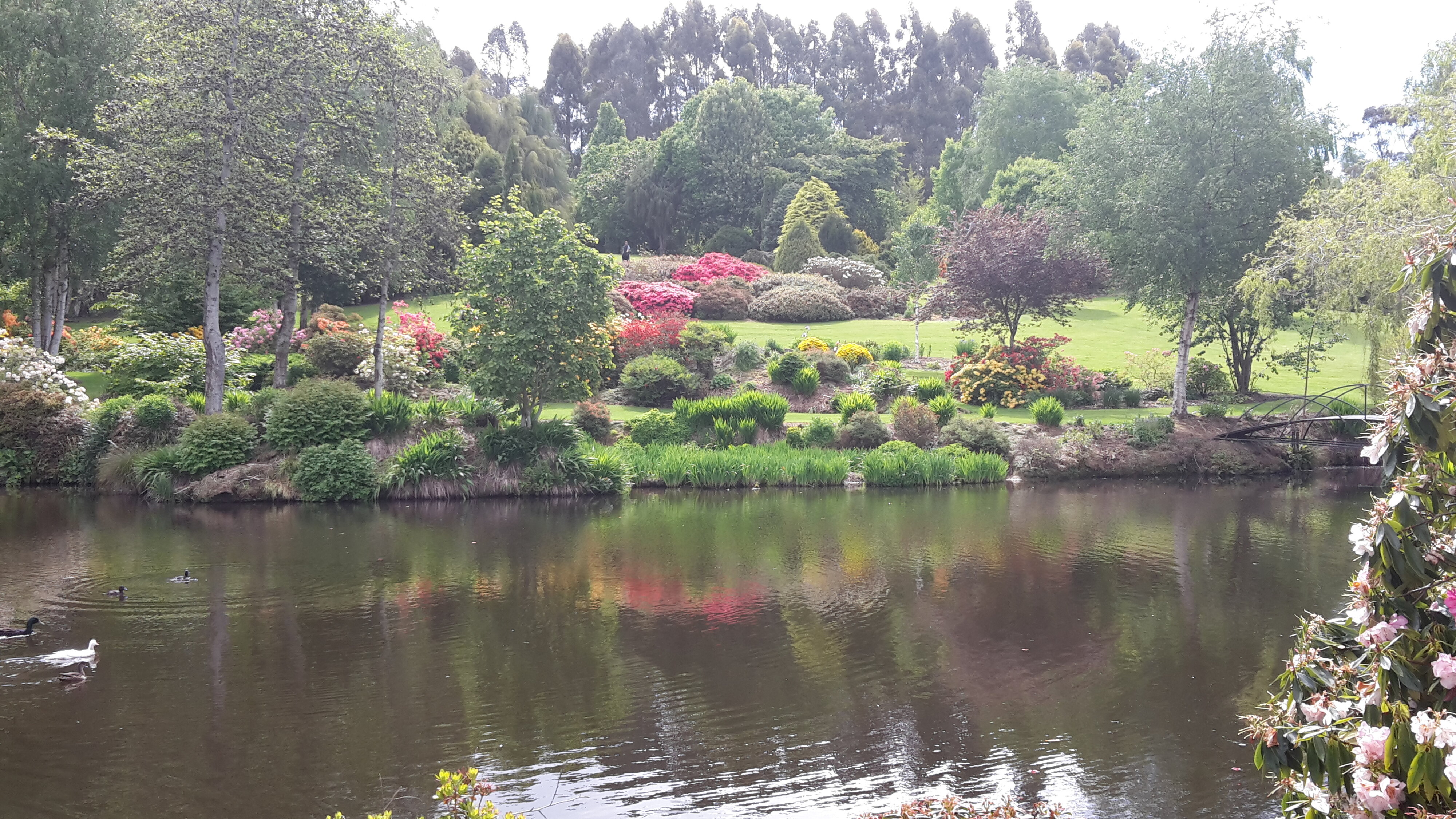 Maple Glen Gardens 27