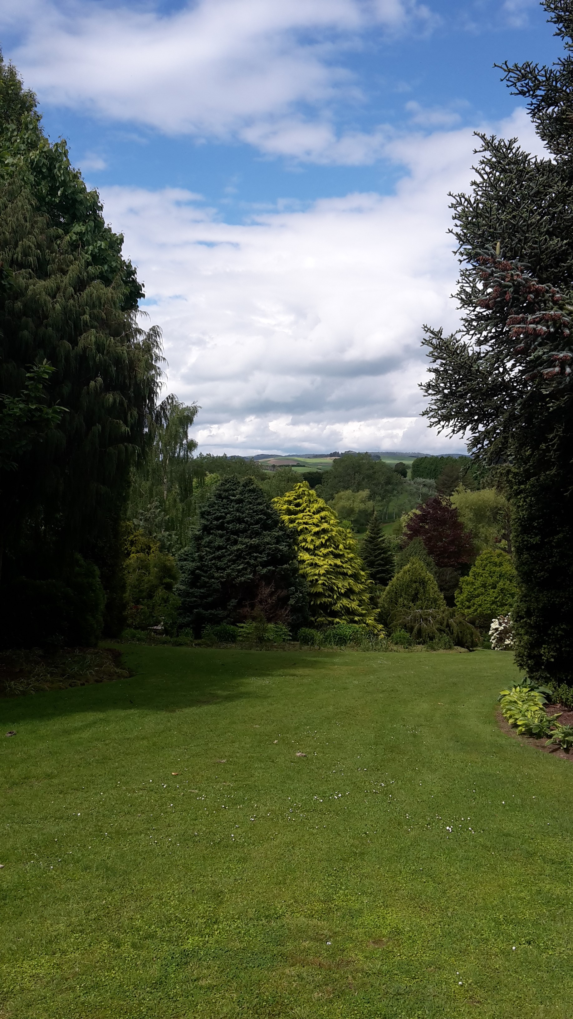 Maple Glen Gardens 31