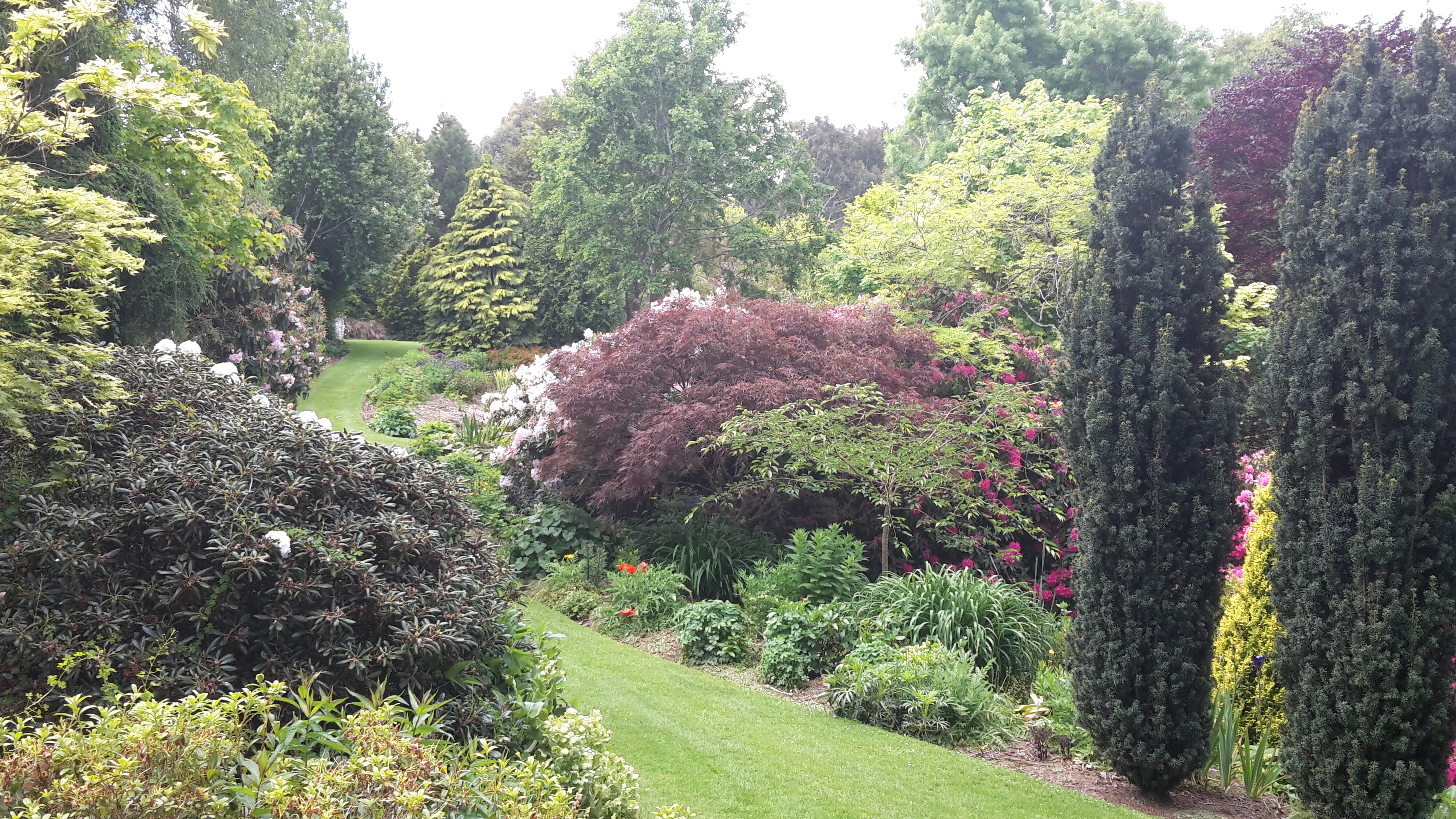 Maple Glen Gardens 41