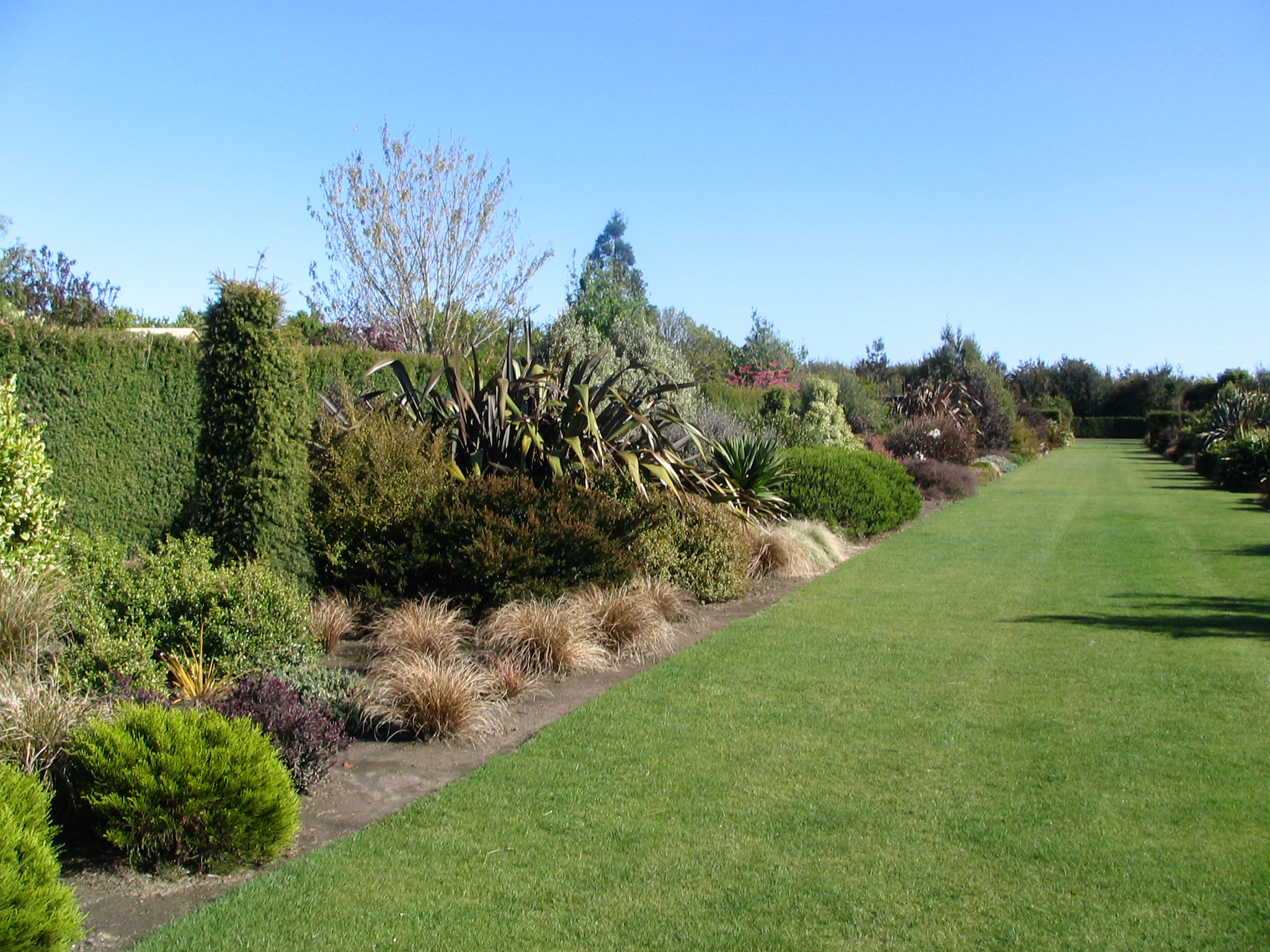 Broadfield Garden Formal border 1