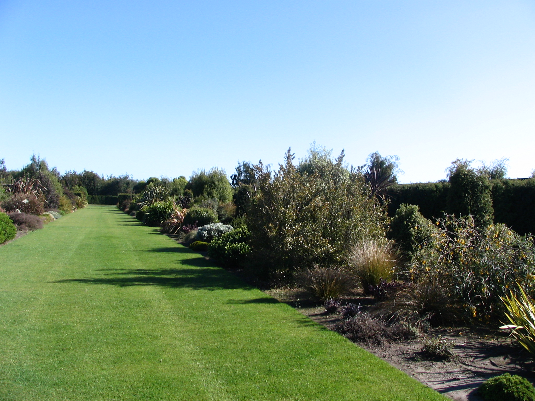 Broadfield Garden Formal border 2