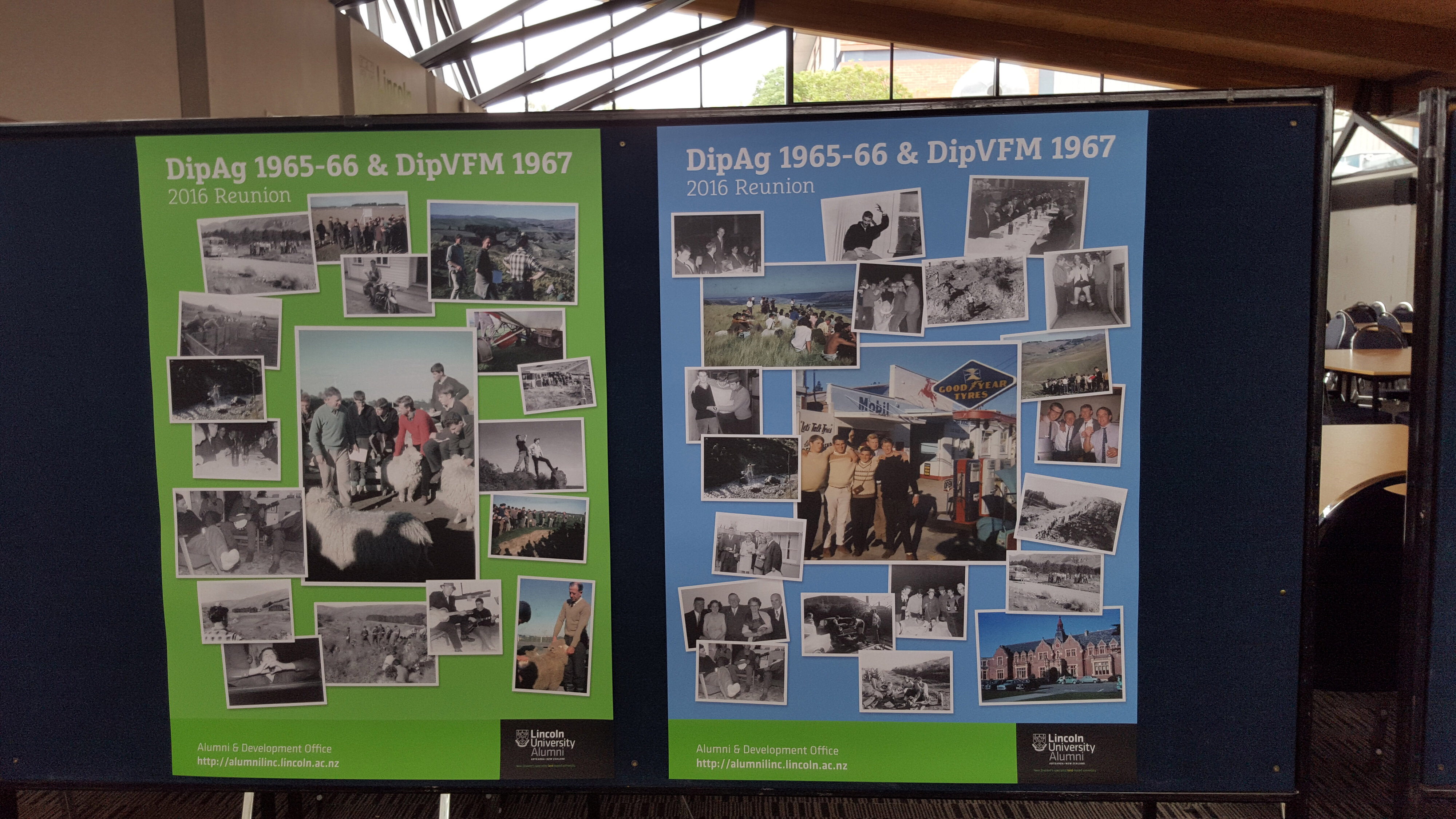 2016 Reunion DipAg 1965-66 and DipVFM 1967 056