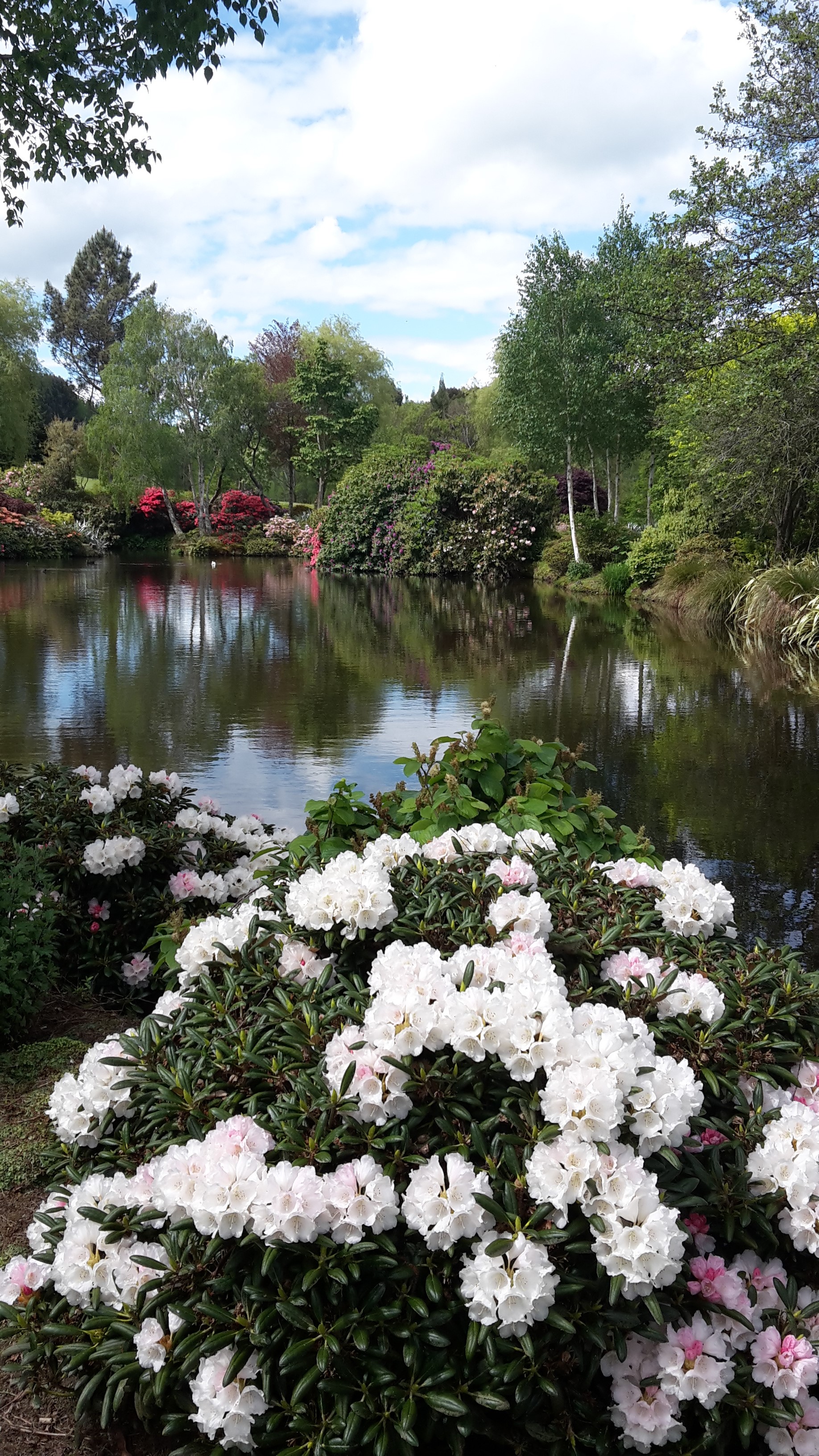 Maple Glen Gardens 43