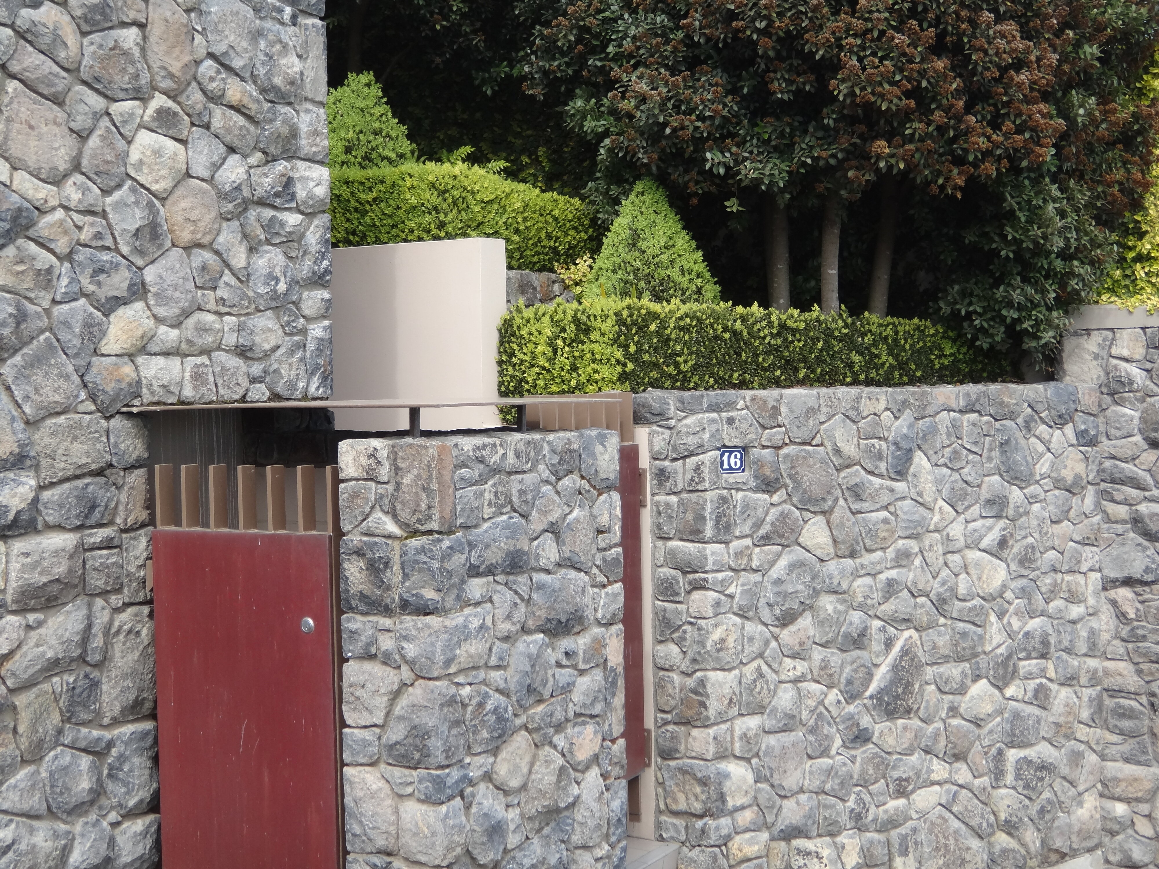 Buxus sempervirens Suffruticosa Topiary at Sumner 