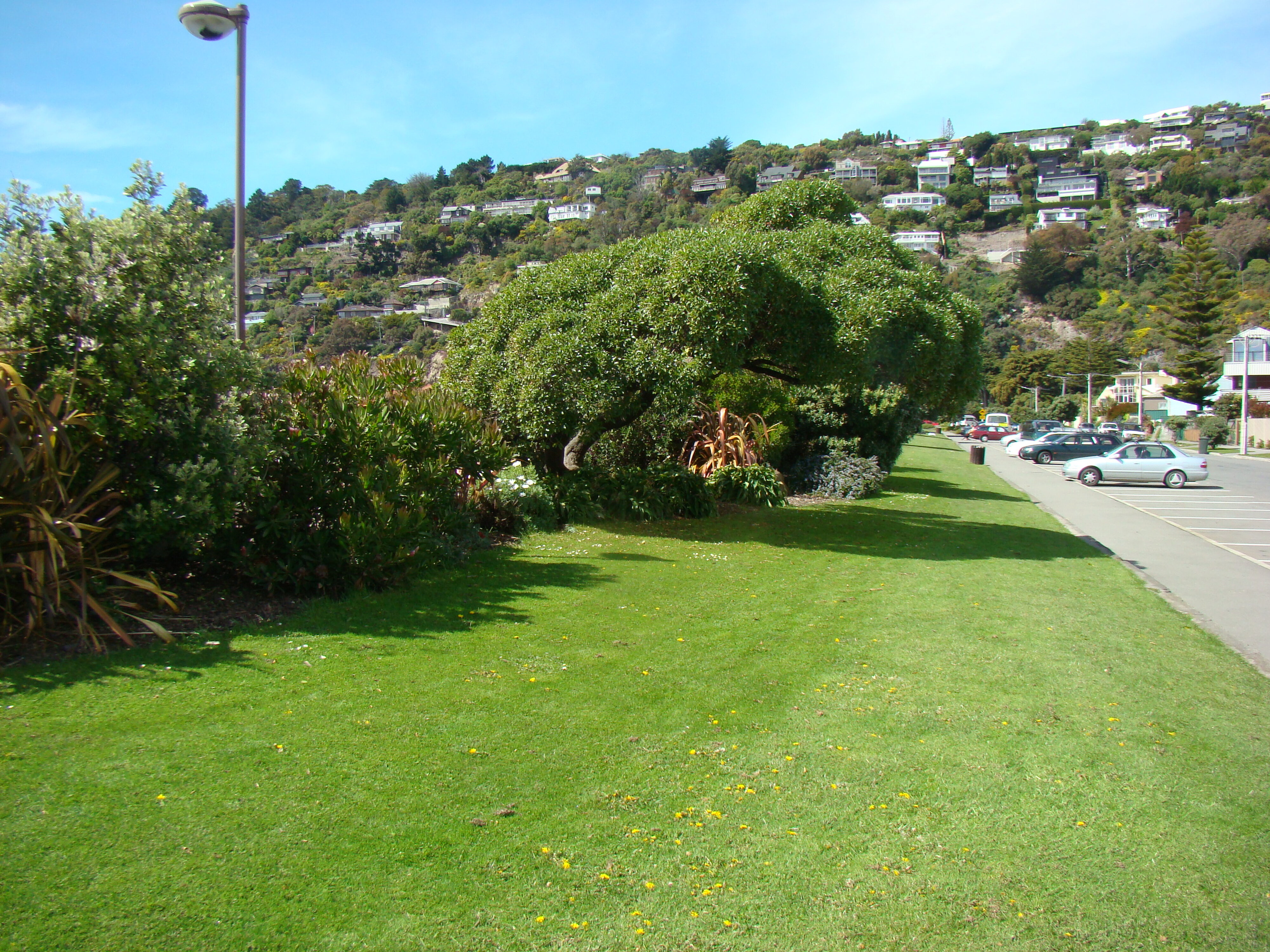 Beach scene at Sumner