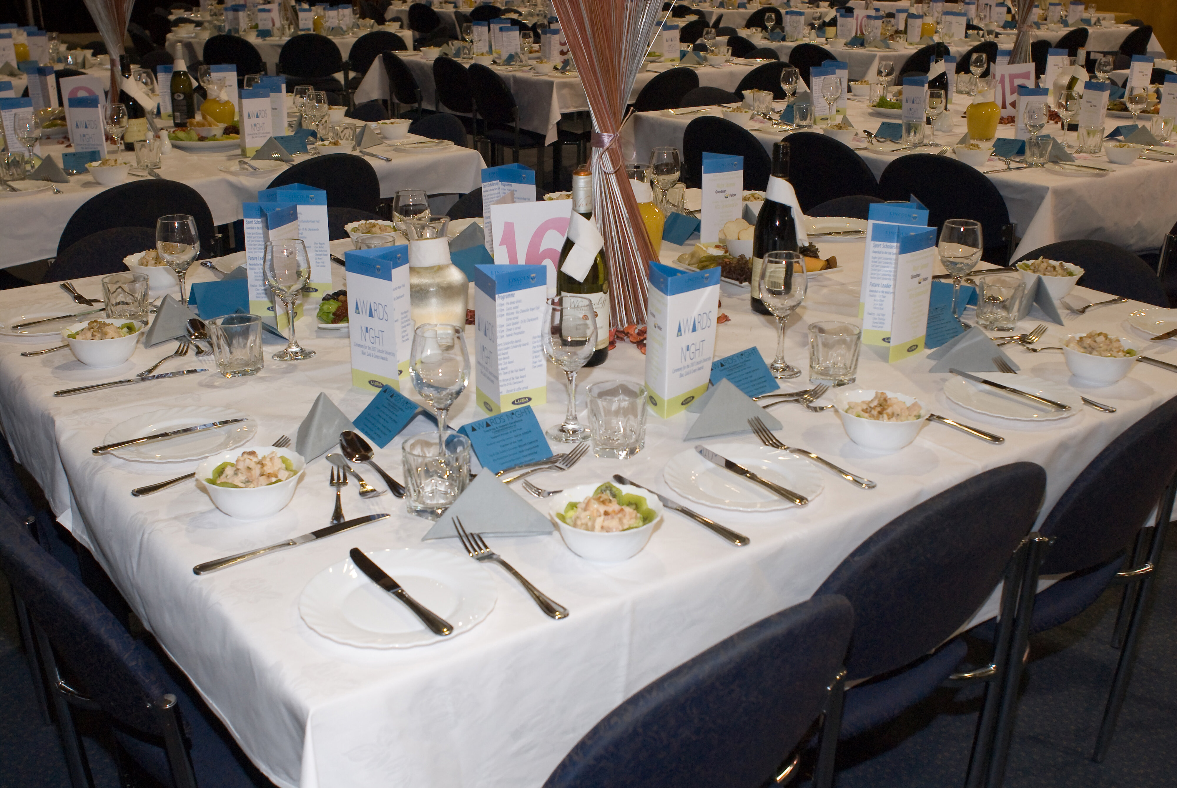 2007 Lincoln University Blues and Golds Award 01