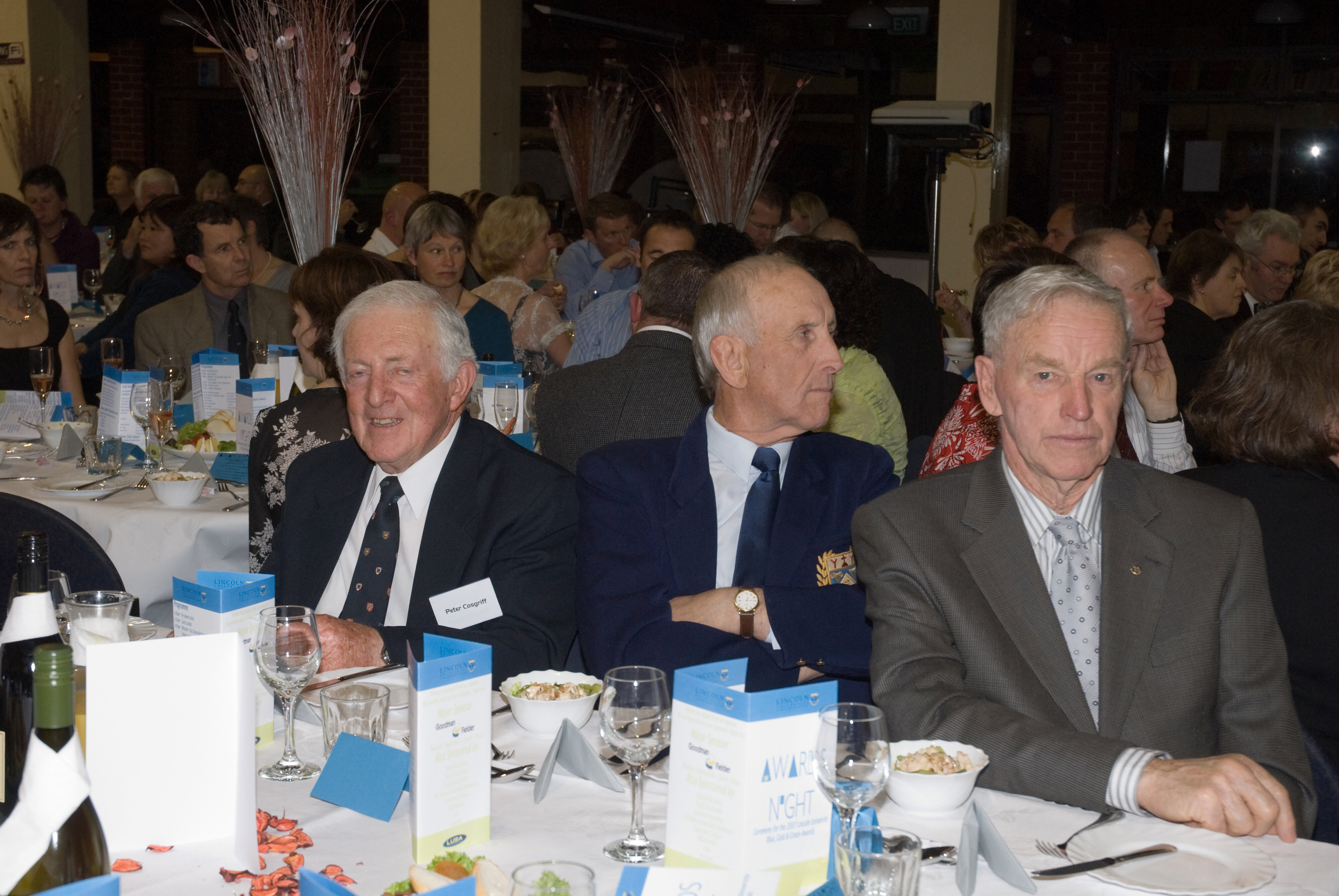 2007 Lincoln University Blues and Golds Award 03