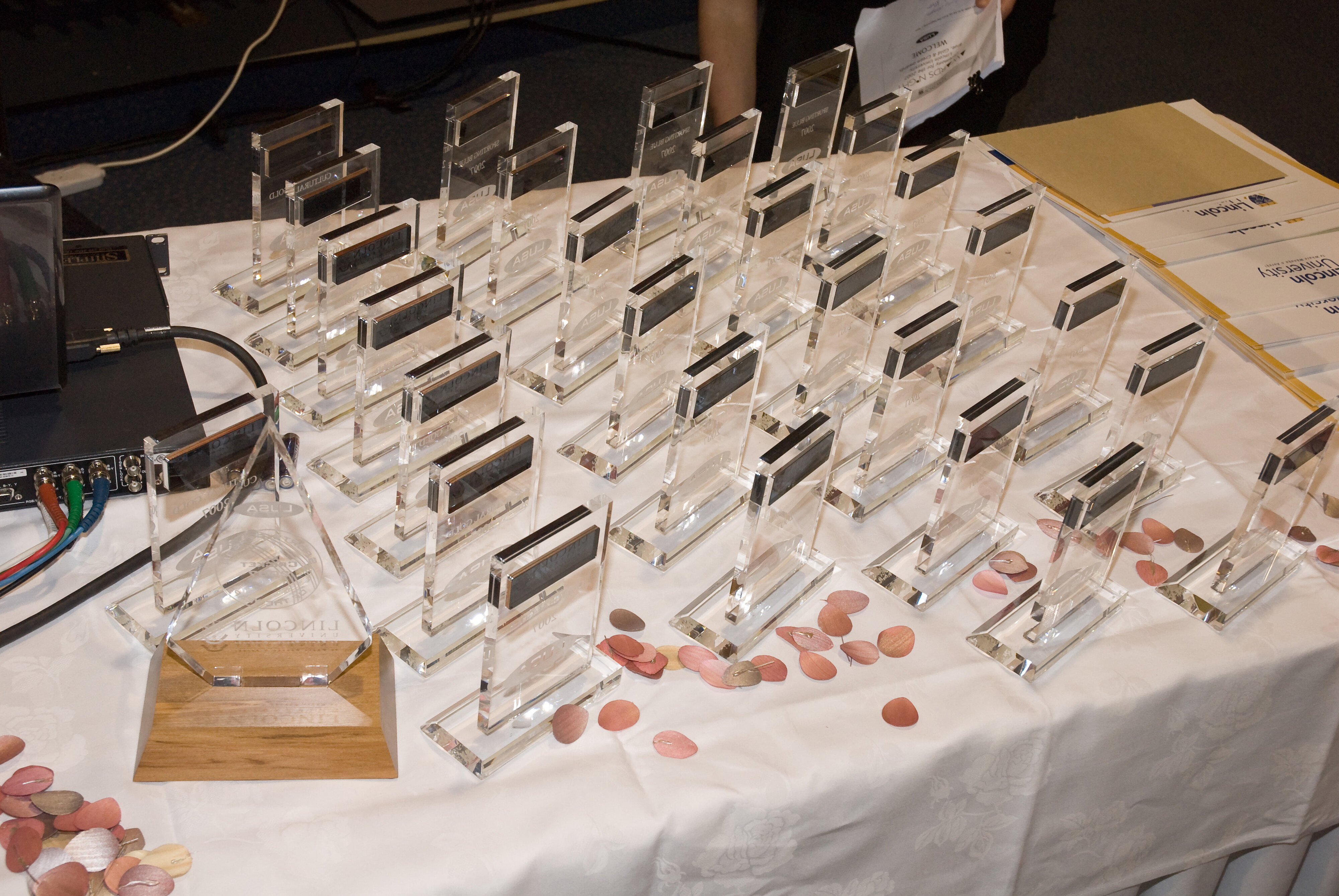 2007 Lincoln University Blues and Golds Award 15