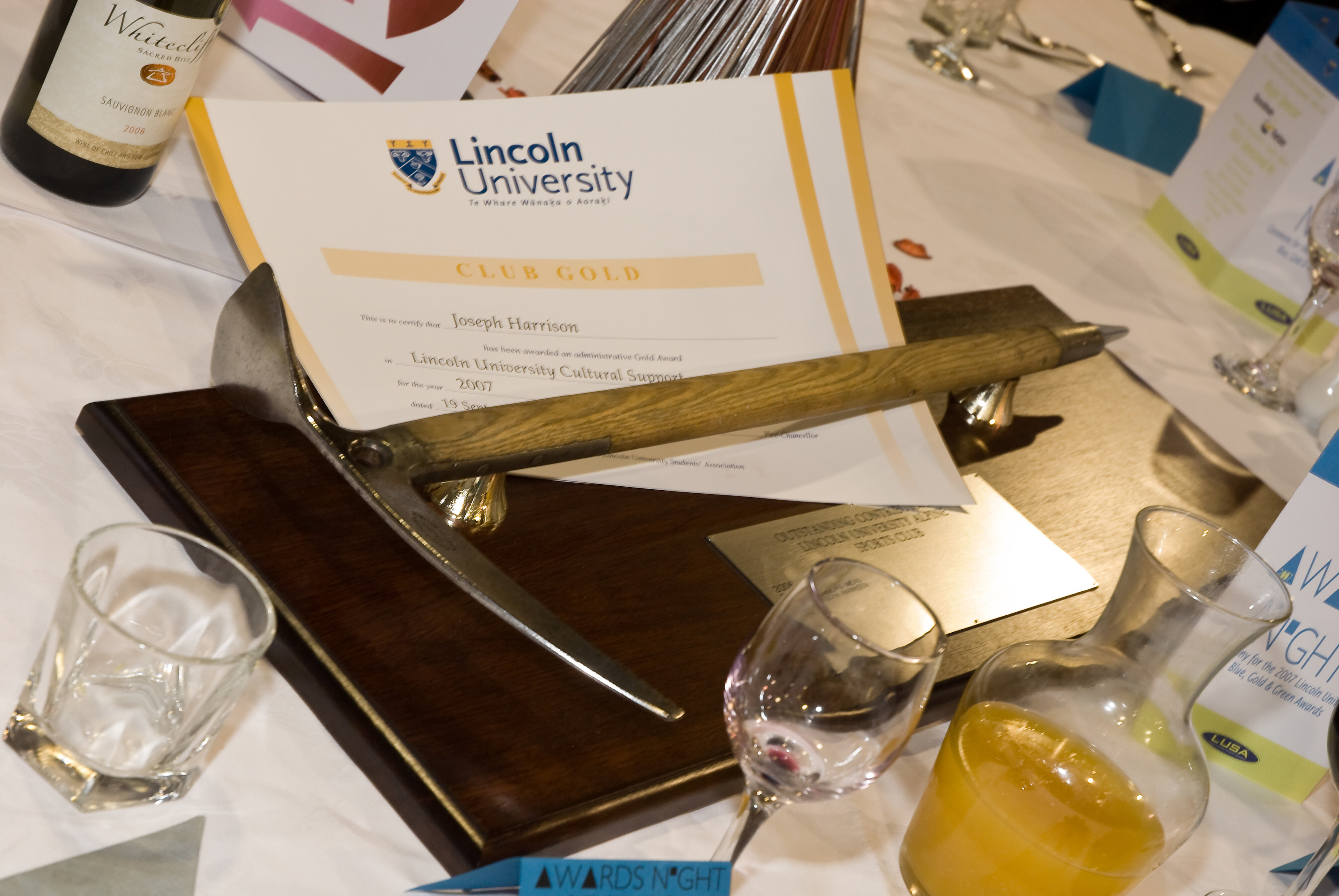 2007 Lincoln University Blues and Golds Award 80