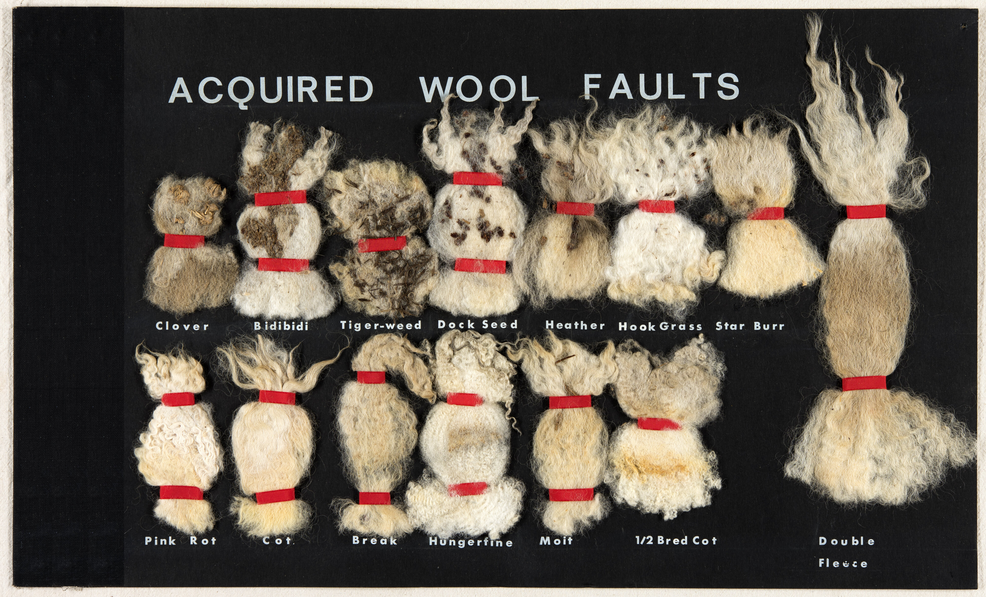 Acquired Wool Faults 003