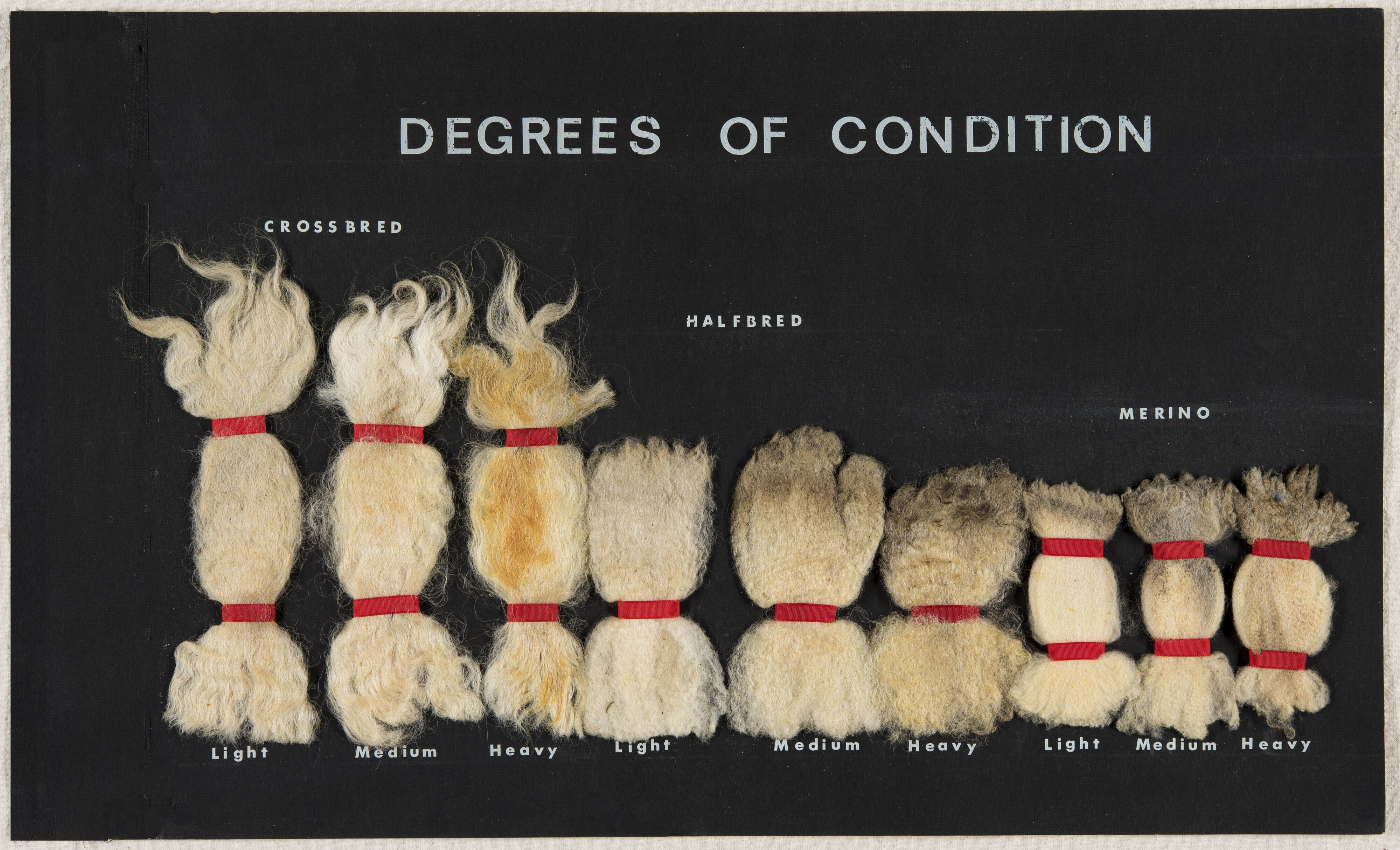Degrees of Condition