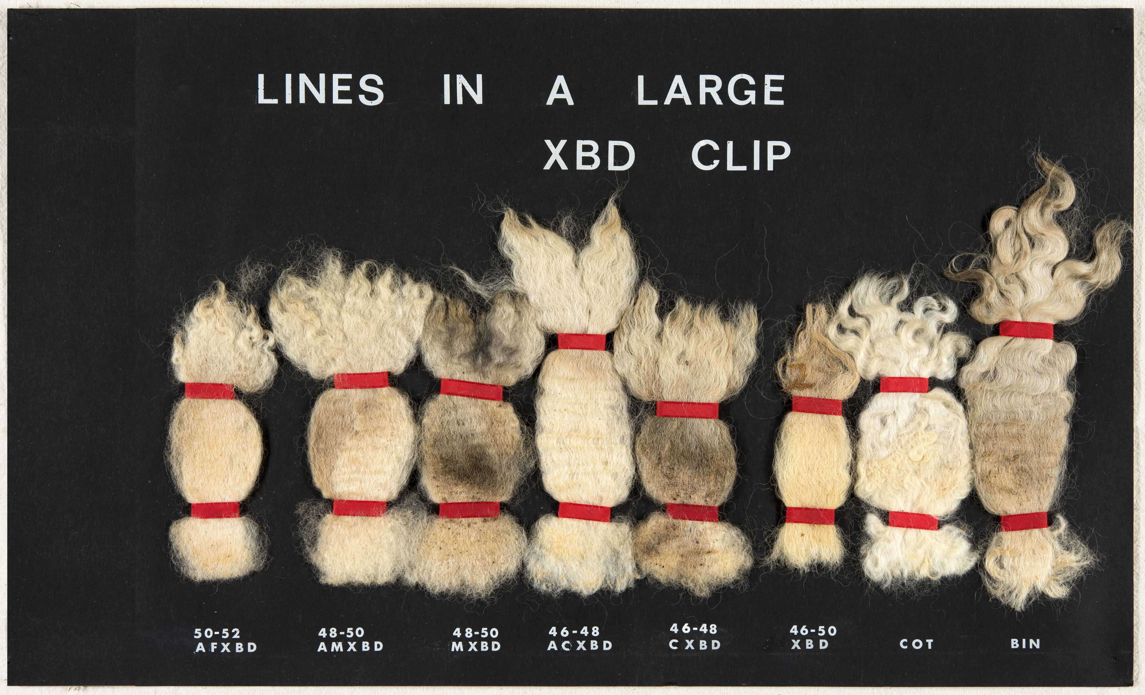 Lines in a Large XBD Clip