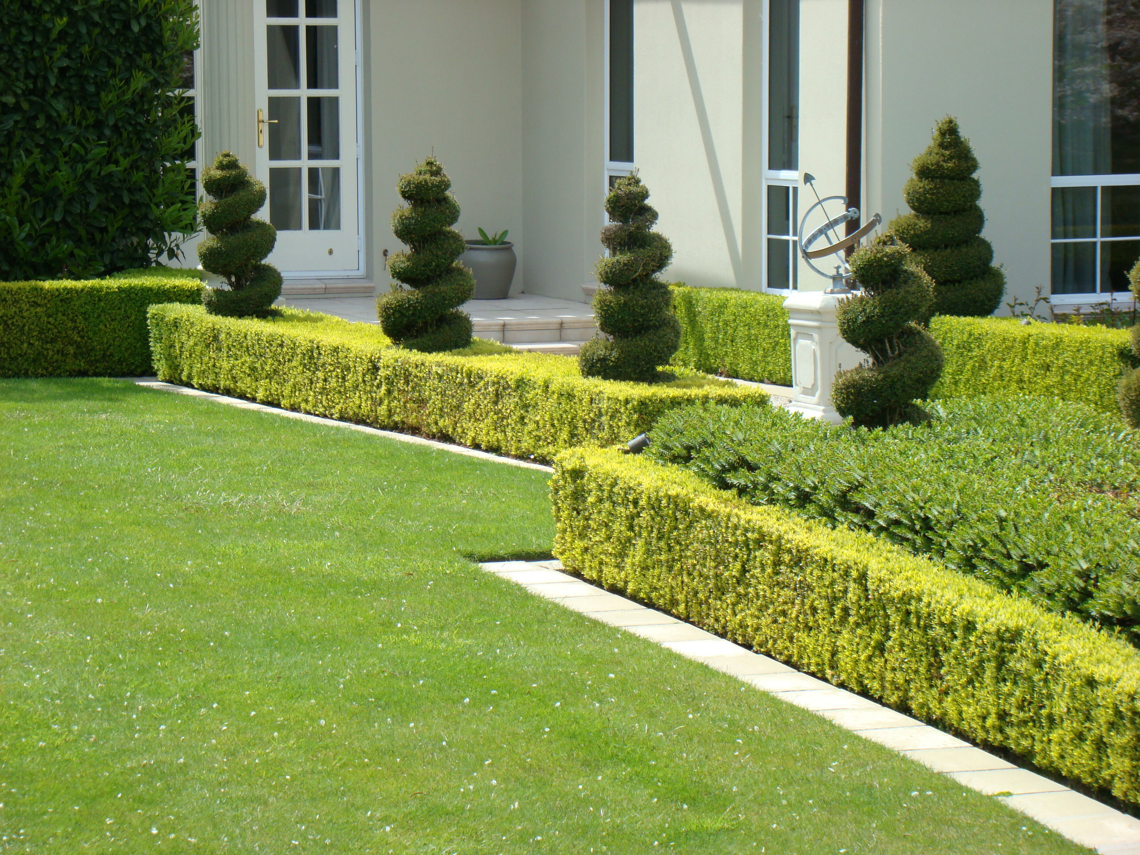 Mona Vale - Dwarf Box - Hebe  - Lonicera nitida