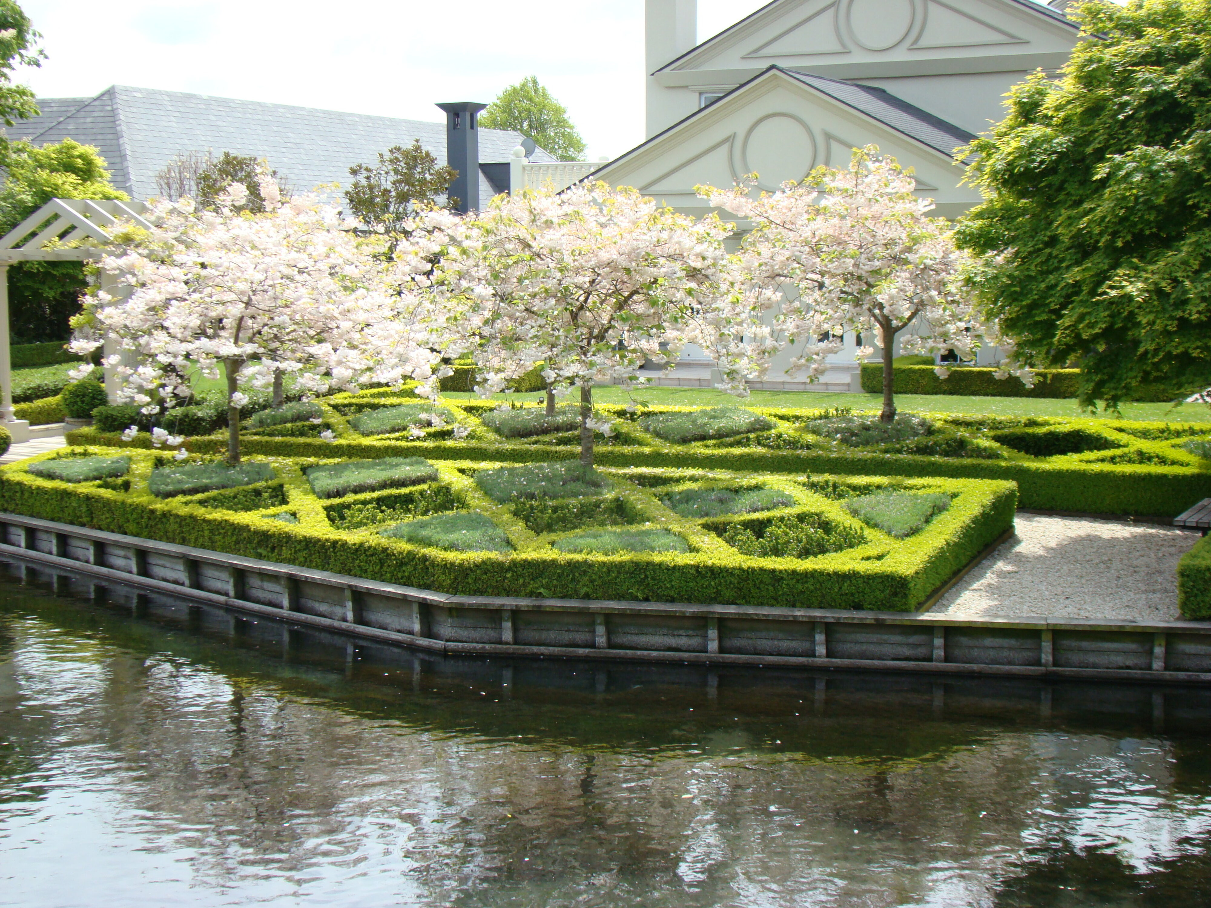 Mona Vale Dwarf Box - English lavander - Eounymus jap. Microphyllus 1