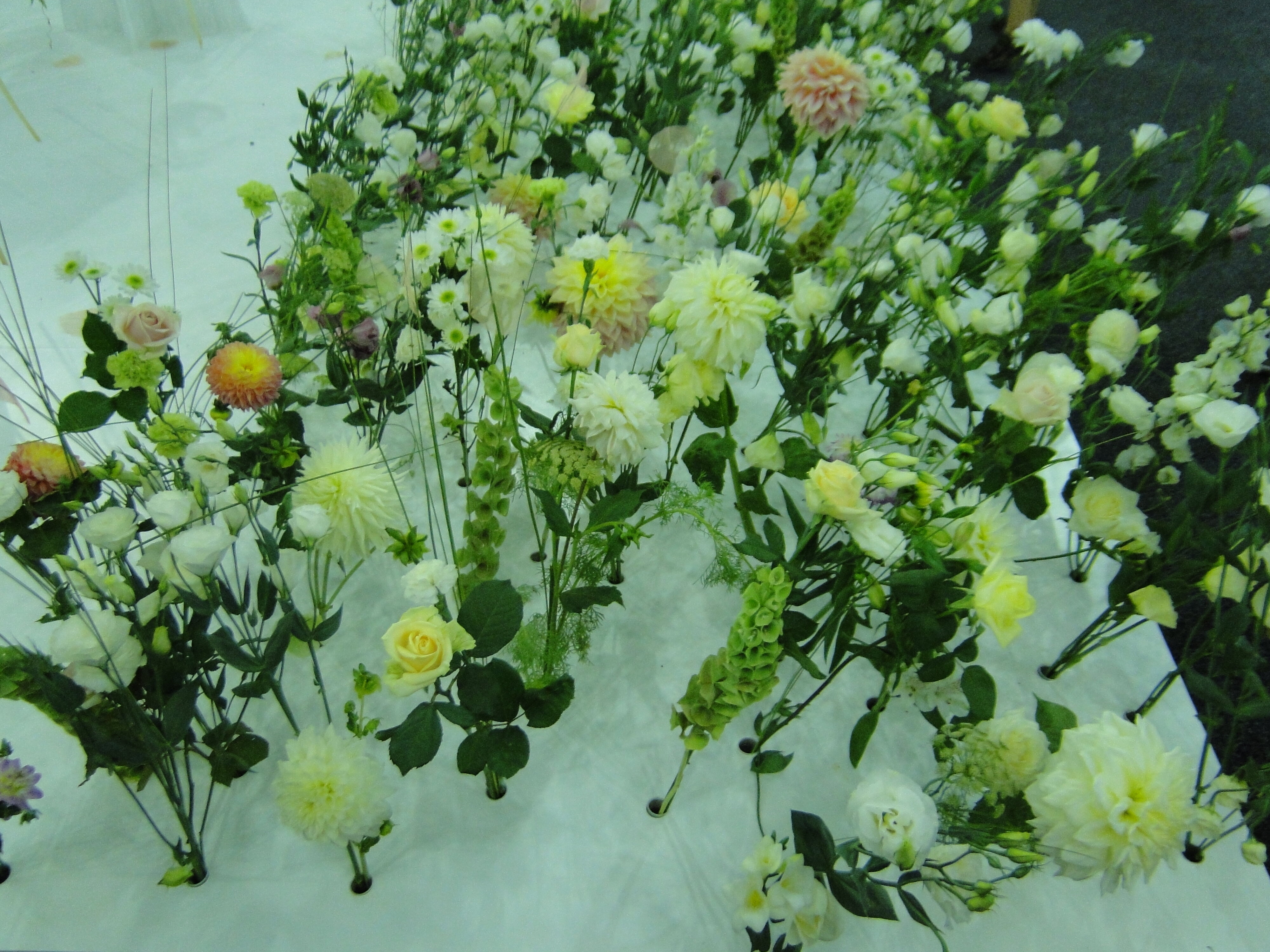 2012 Ellerslie Flower Show North Hagley Park 44