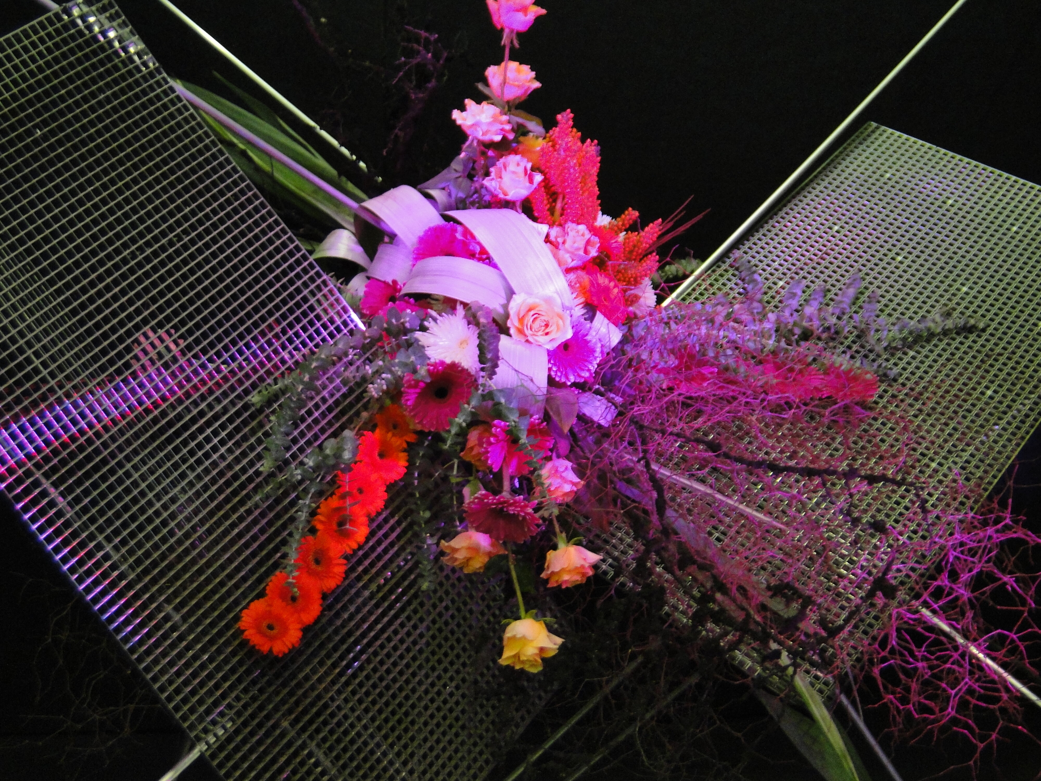 2012 Ellerslie Flower Show North Hagley Park 46