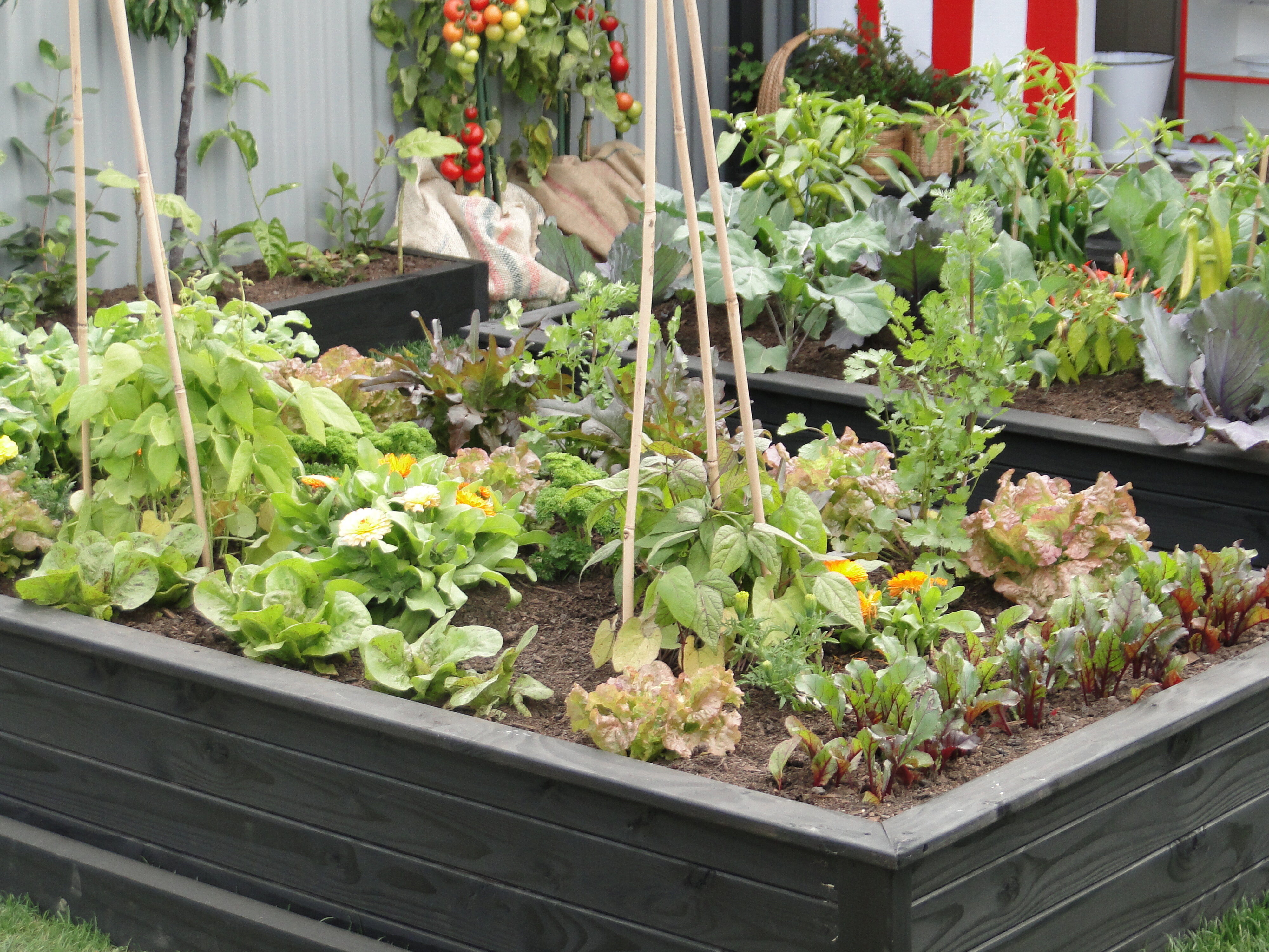 2012 Ellerslie Flower Show North Hagley Park 54