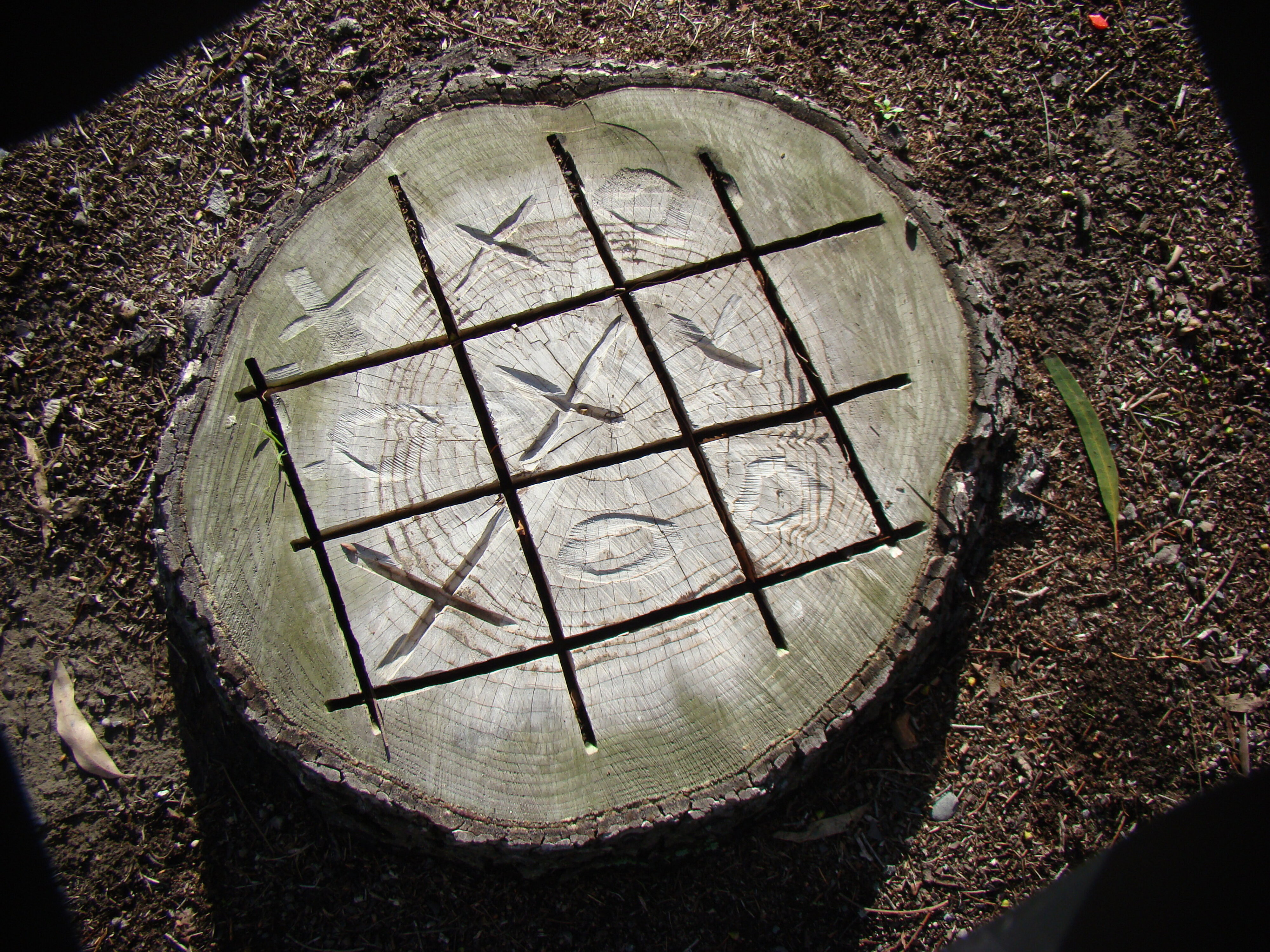 Tree stump noughts and crosses