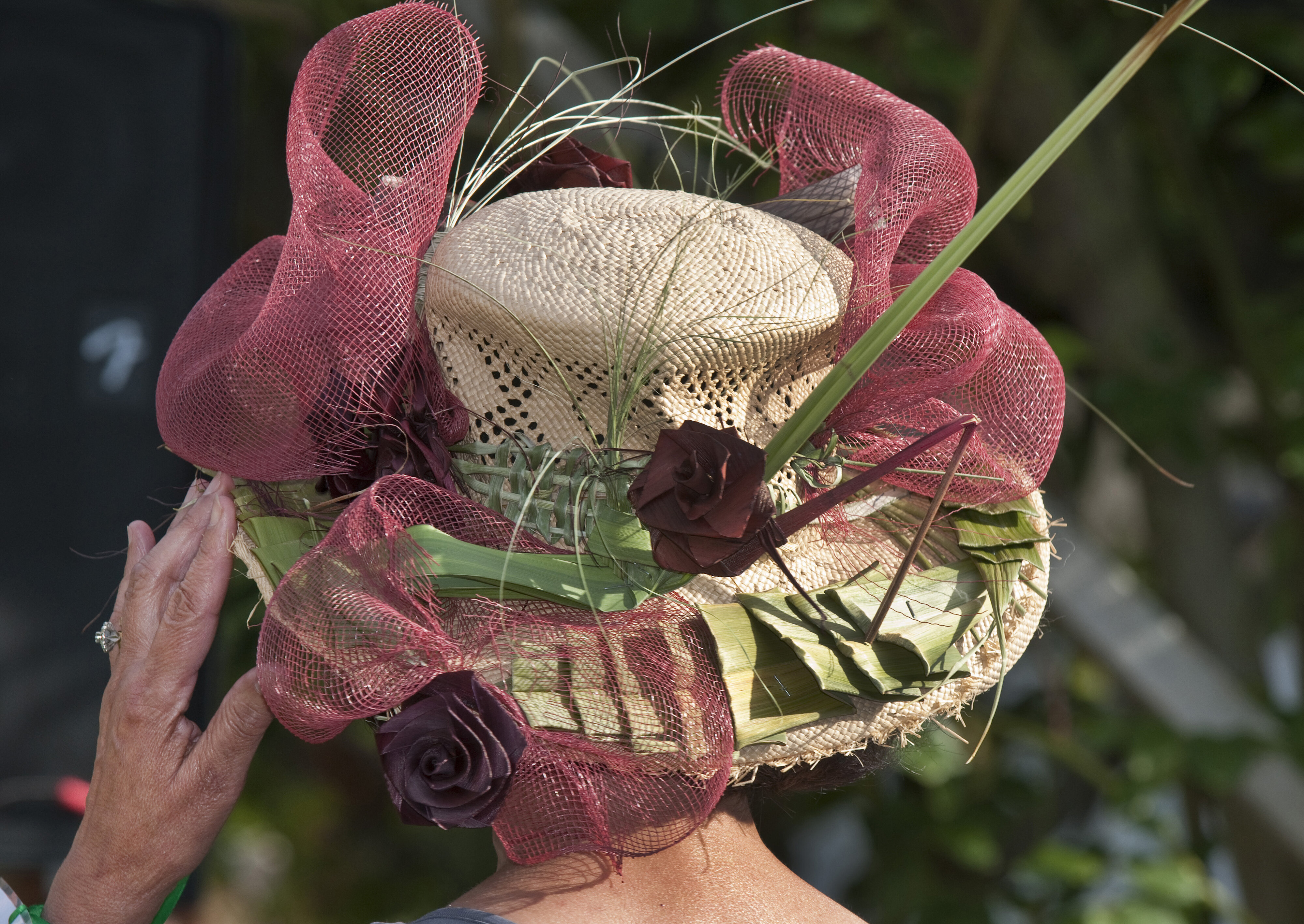 2009 Lincoln University Staff Garden Party 114