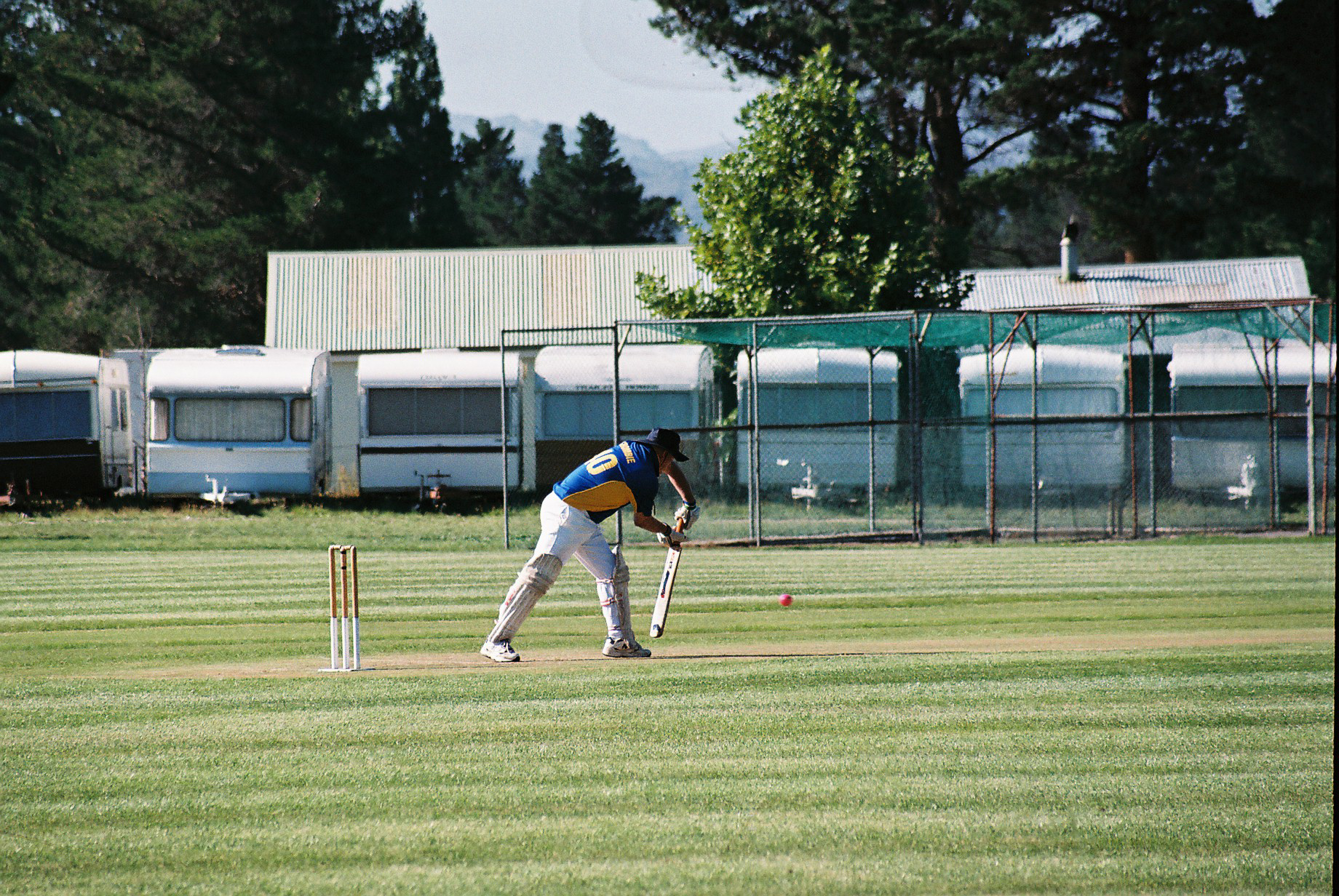 2008 Cricket Team - 1968 Wahine Survivors 058
