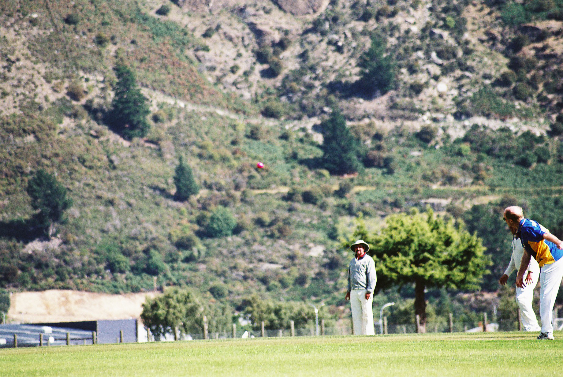 2008 Karaka Stallions Cricket - 1968 Wahine Survivors 013