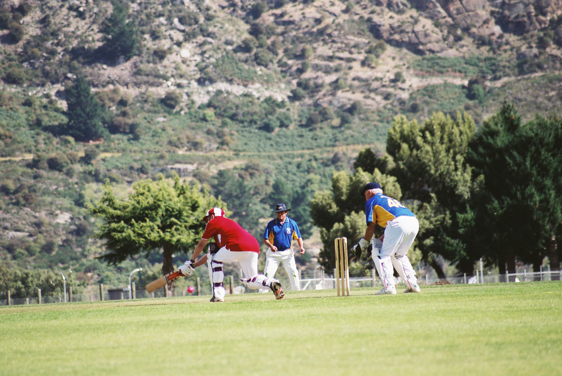 2008 Karaka Stallions Cricket - 1968 Wahine Survivors 015