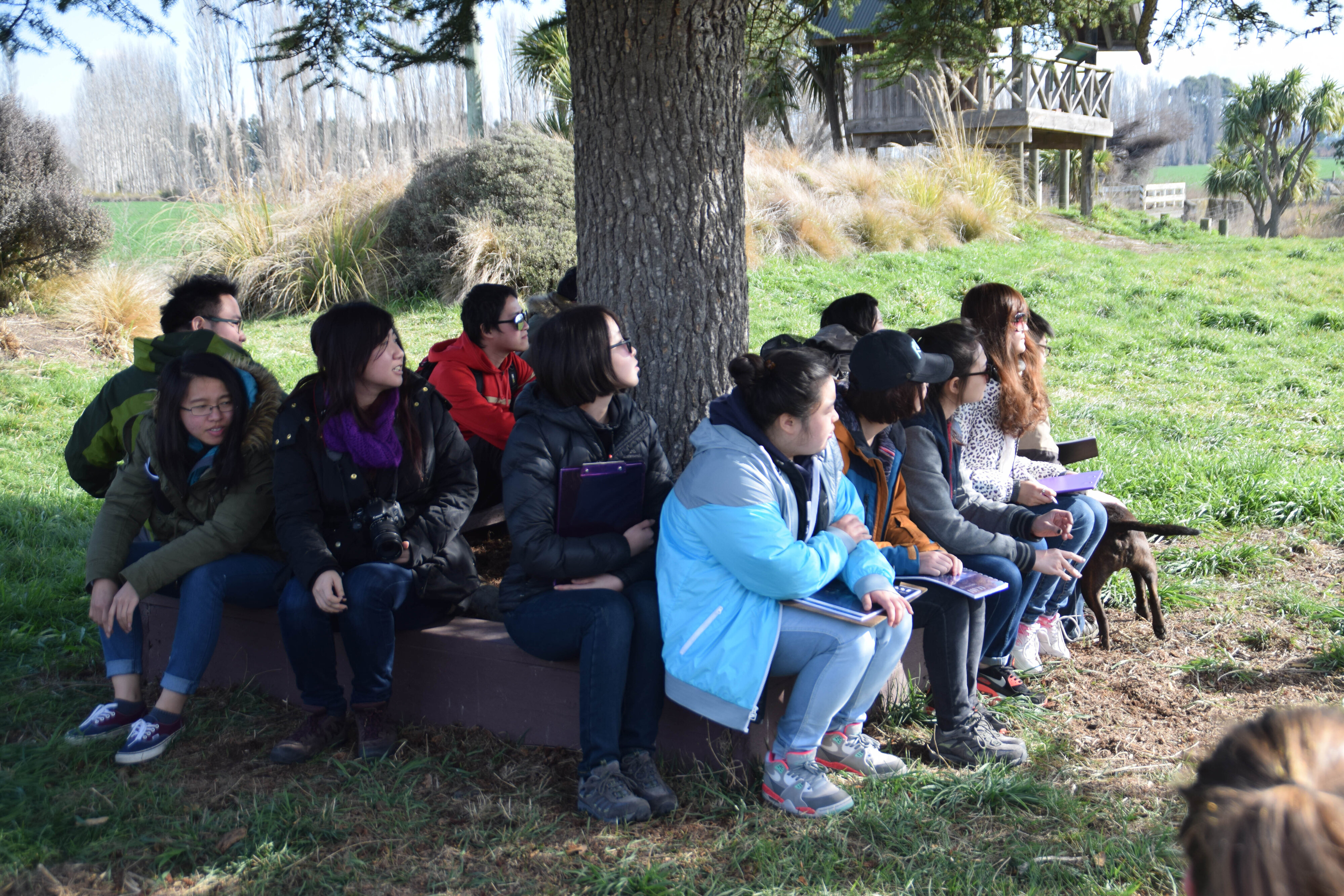 2015 SoLA Field Tour - Coast 03