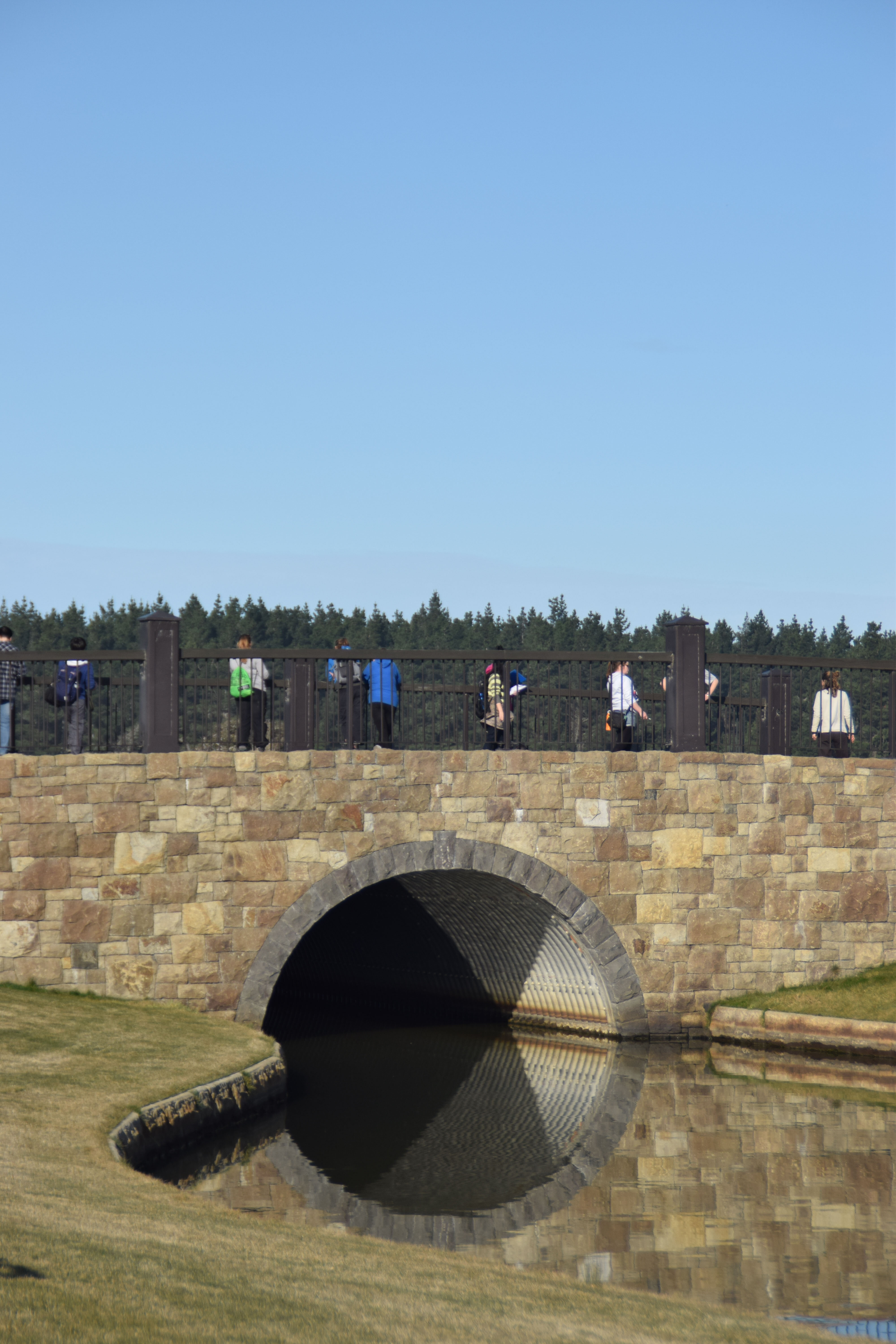 2015 SoLA Field Tour - Coast 07