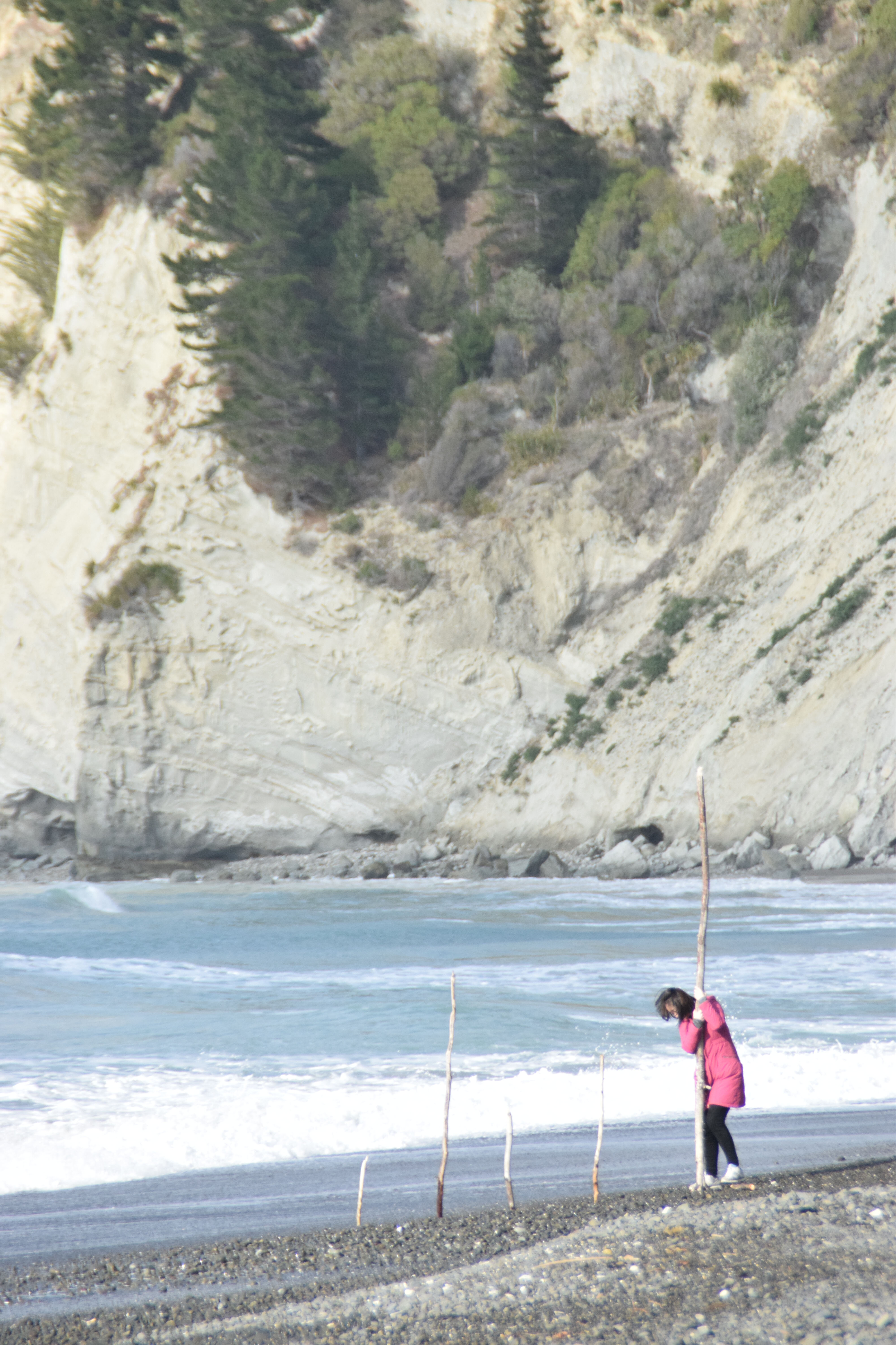 2015 SoLA Field Tour - Coast 12