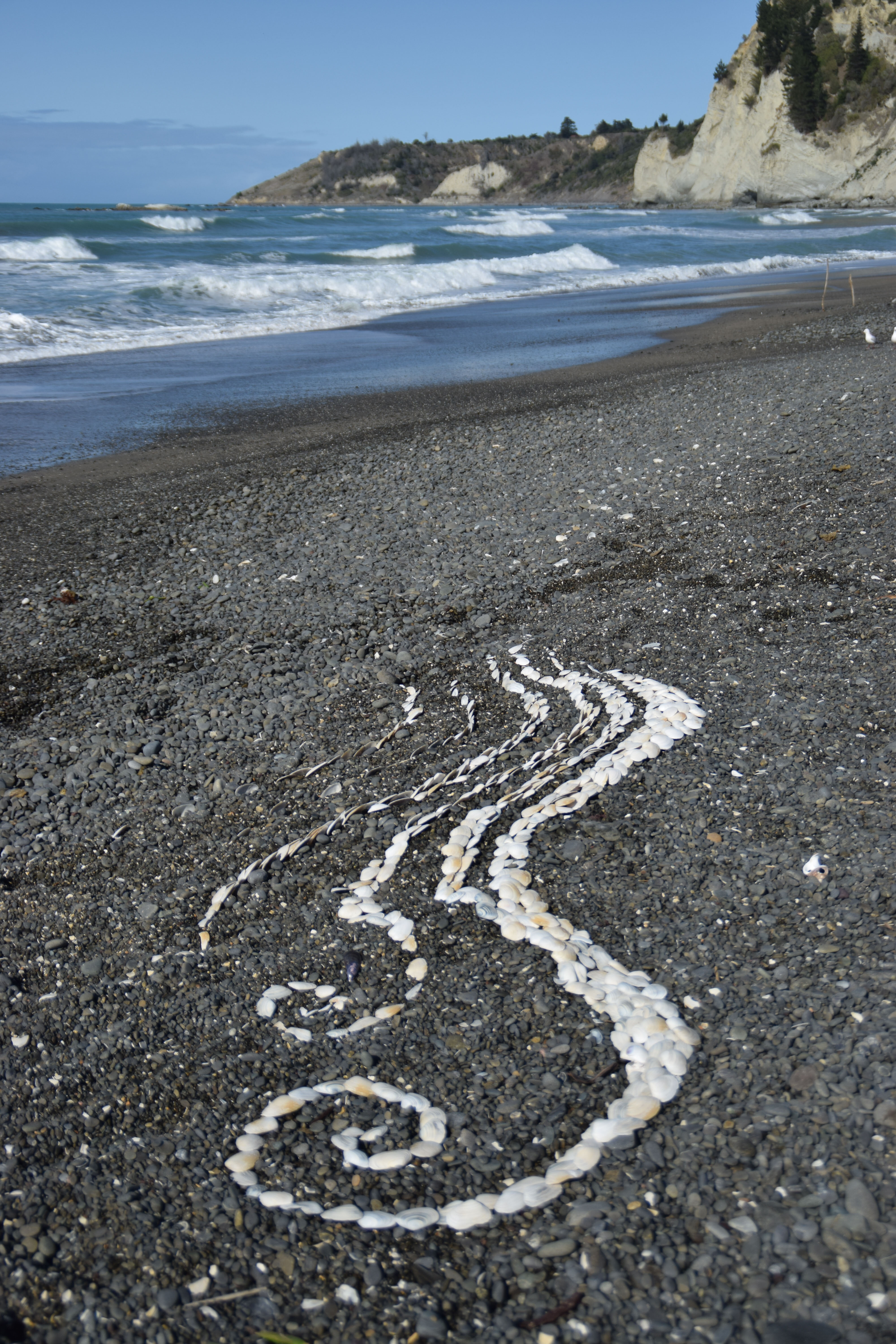 2015 SoLA Field Tour - Coast 13