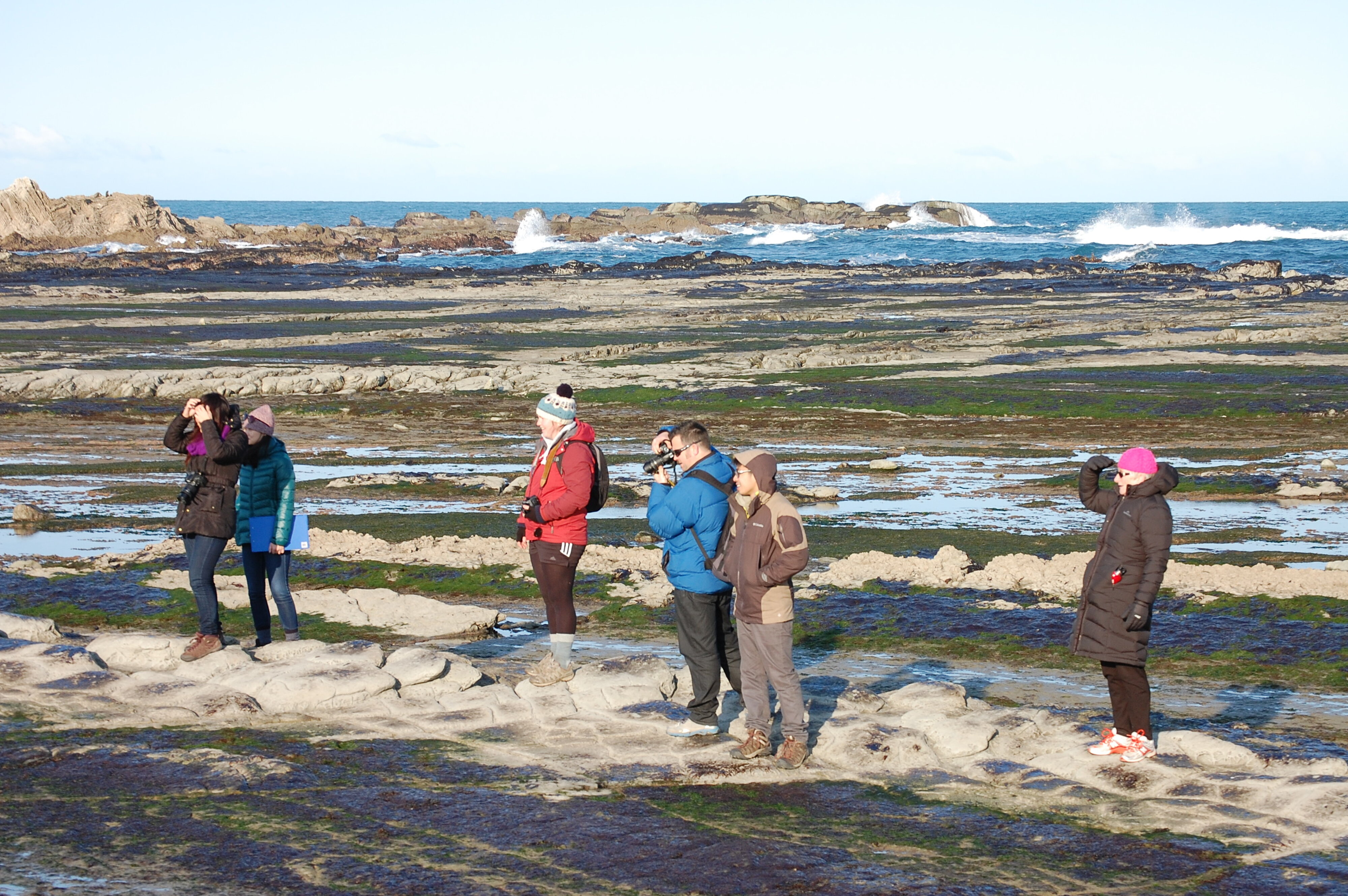 2015 SoLA Field Tour - Coast 17