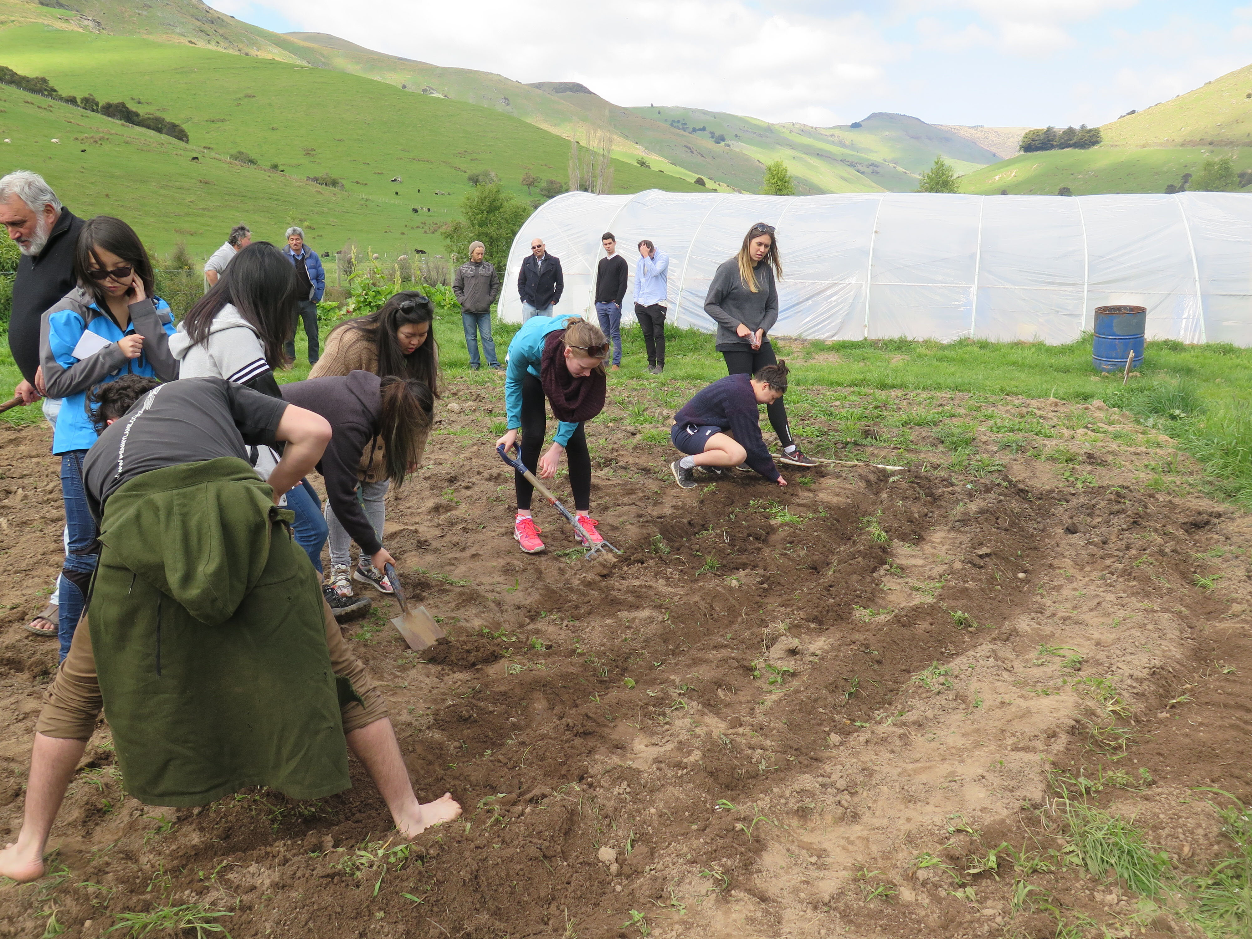 2015 SoLA Field Tour - Koukoraurata 05