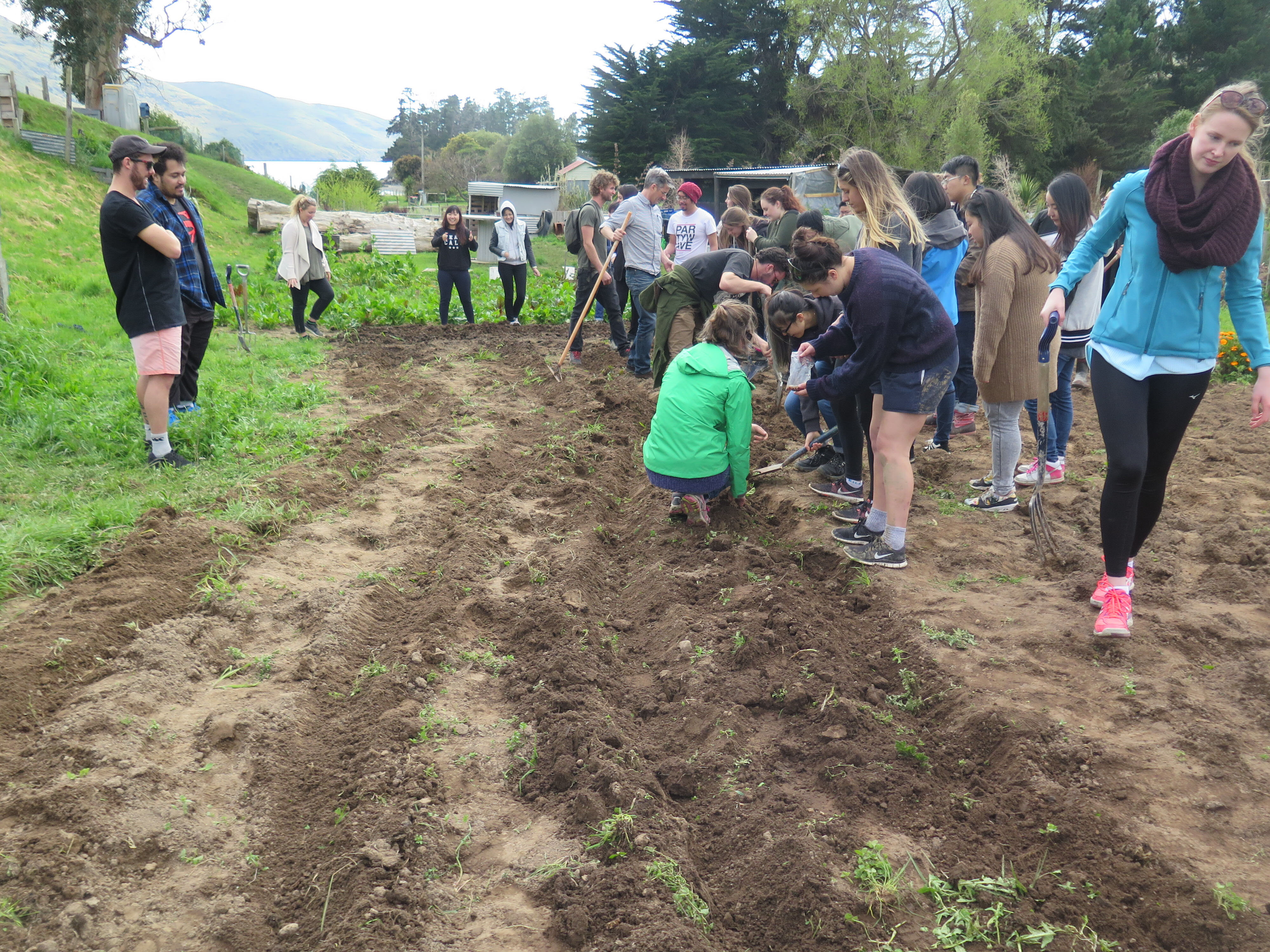 2015 SoLA Field Tour - Koukoraurata 06