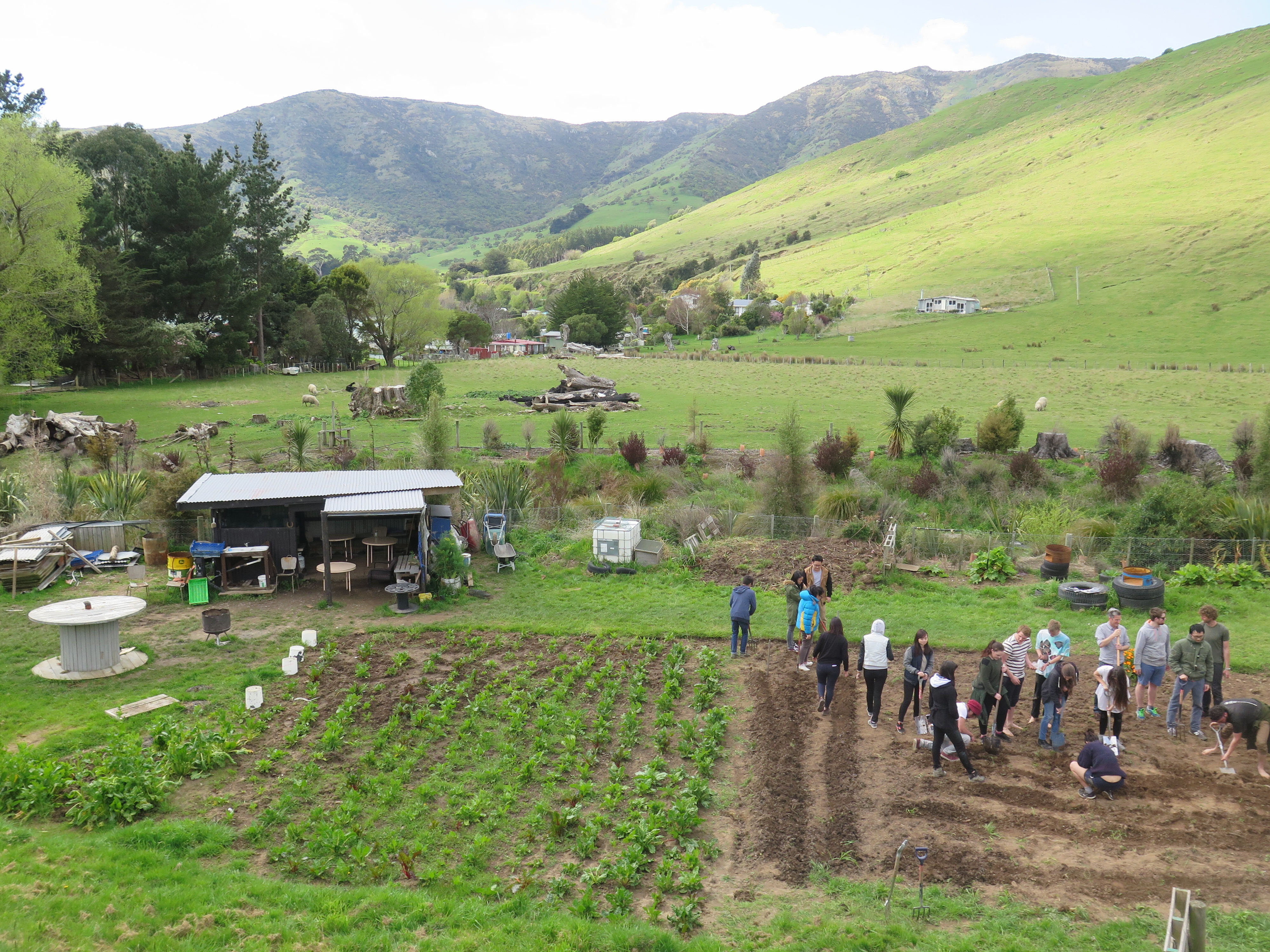 2015 SoLA Field Tour - Koukoraurata 07