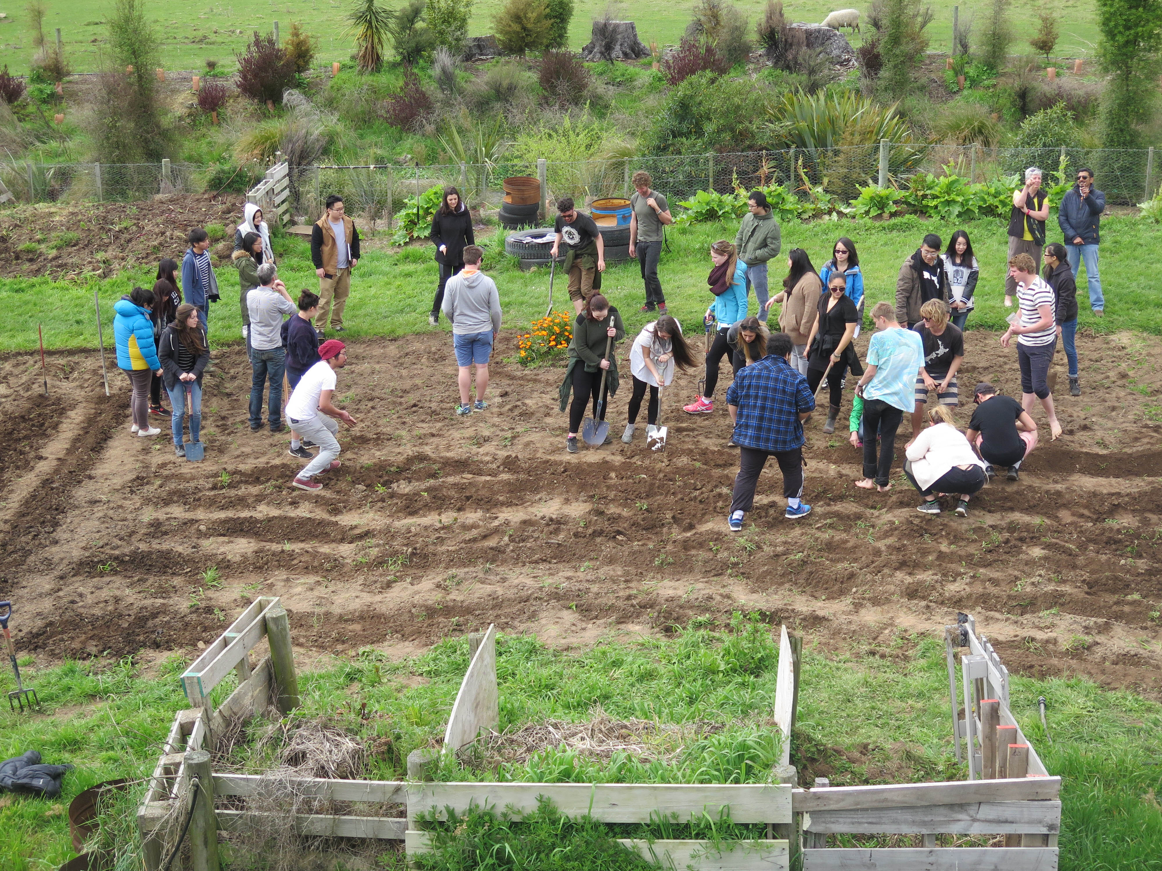 2015 SoLA Field Tour - Koukoraurata 08