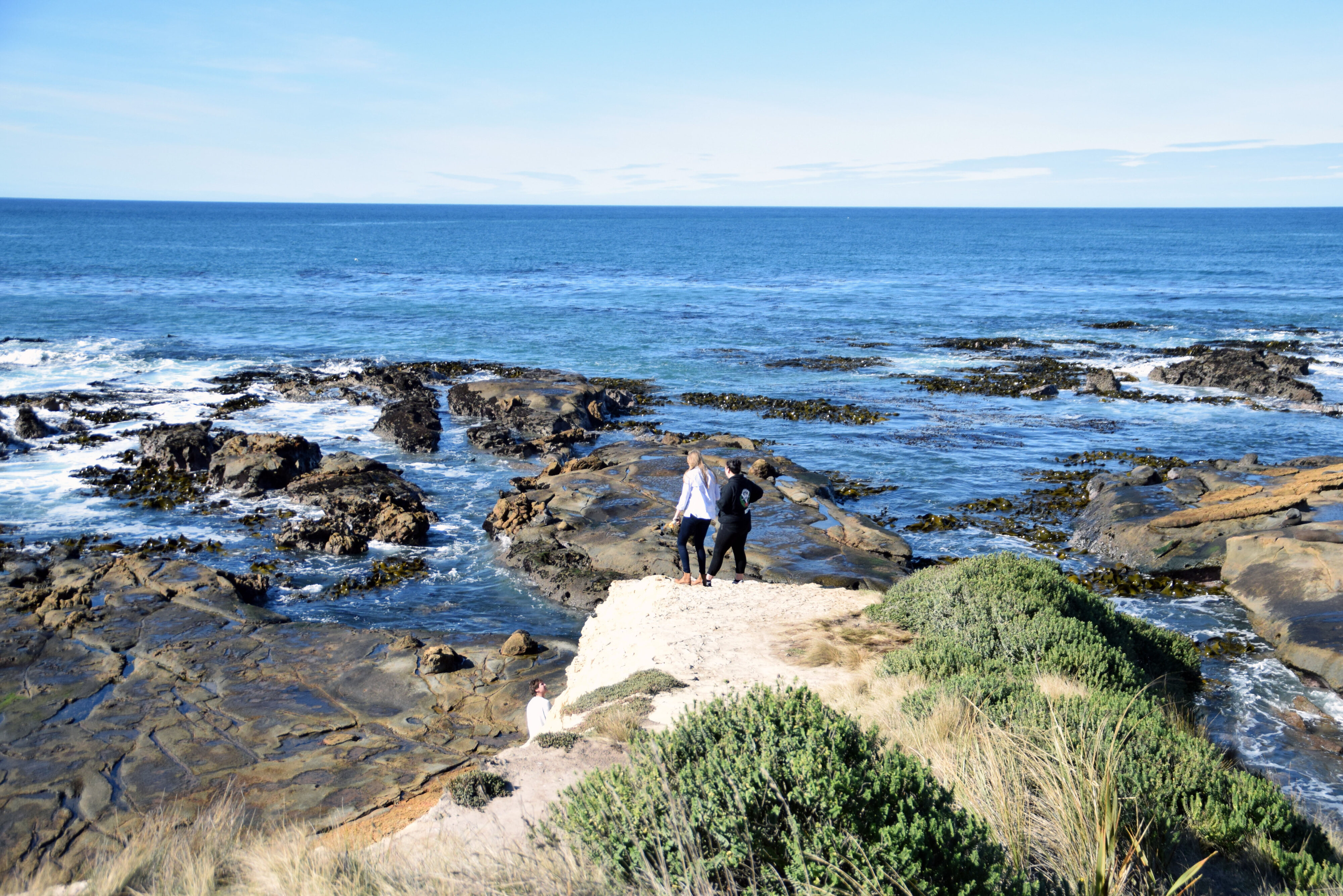 School of Landscape Architecture Field Trip to Shag Point