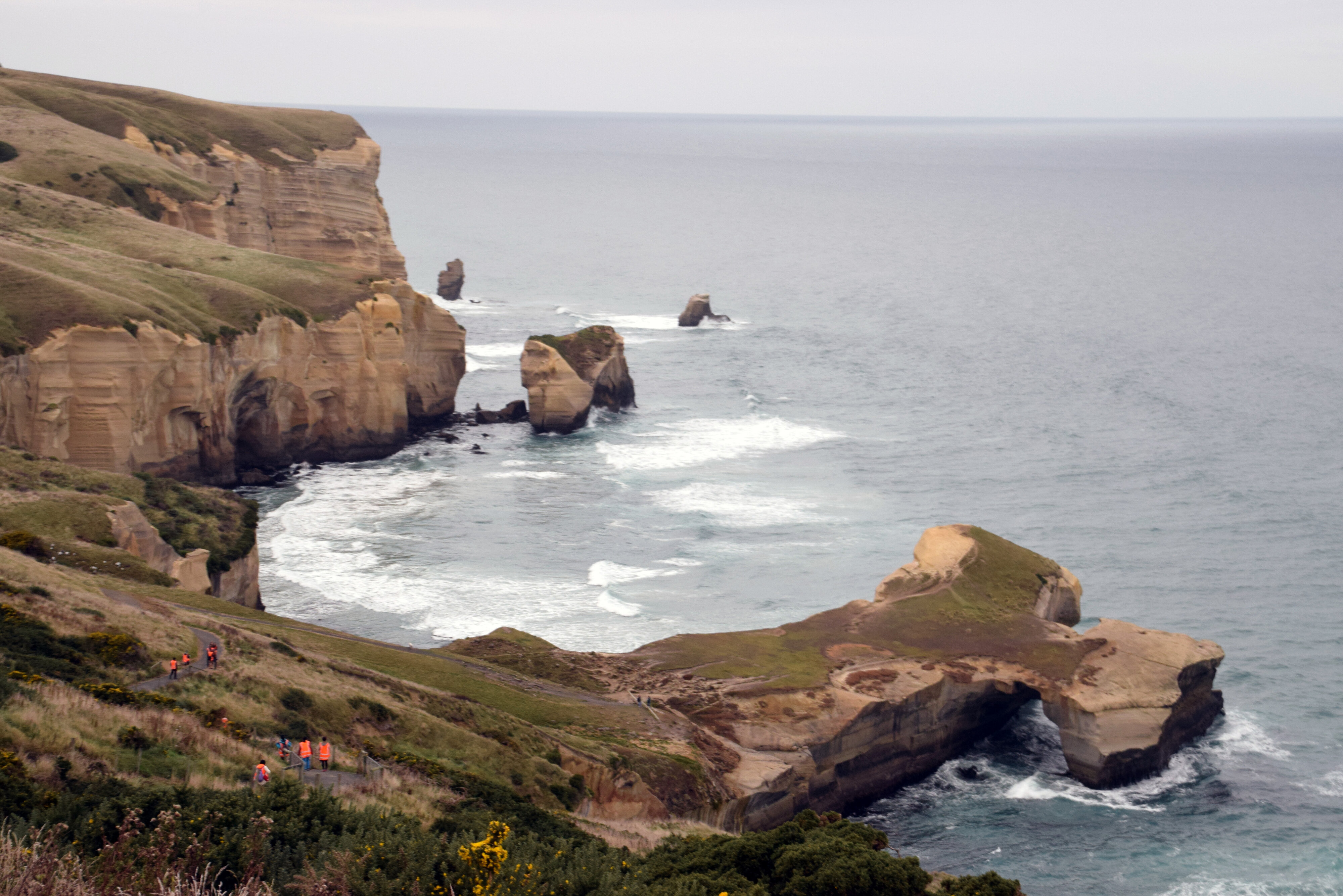 School of Landscape Architecture Field Trip to Tunnel Beach